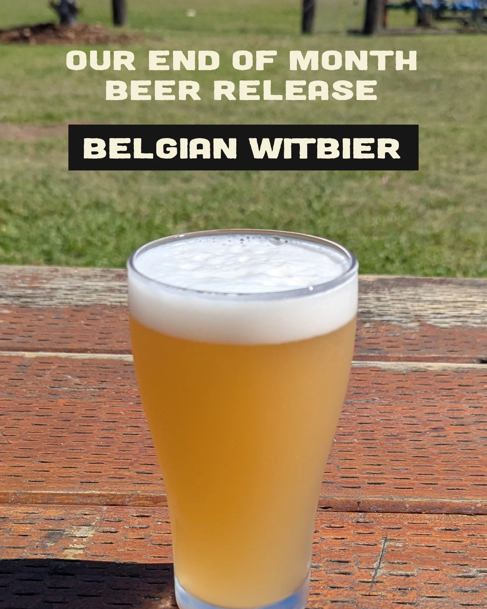 Belgian Witbier our end of month beer release 🍻 Swipe to learn all about it ➡️

Try it this weekend and get $7 Schooners 👏👏

T&amp;C's apply, special available 24th to the 26th March