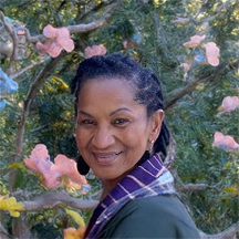 Week 3: Rooted, Built, and Ready