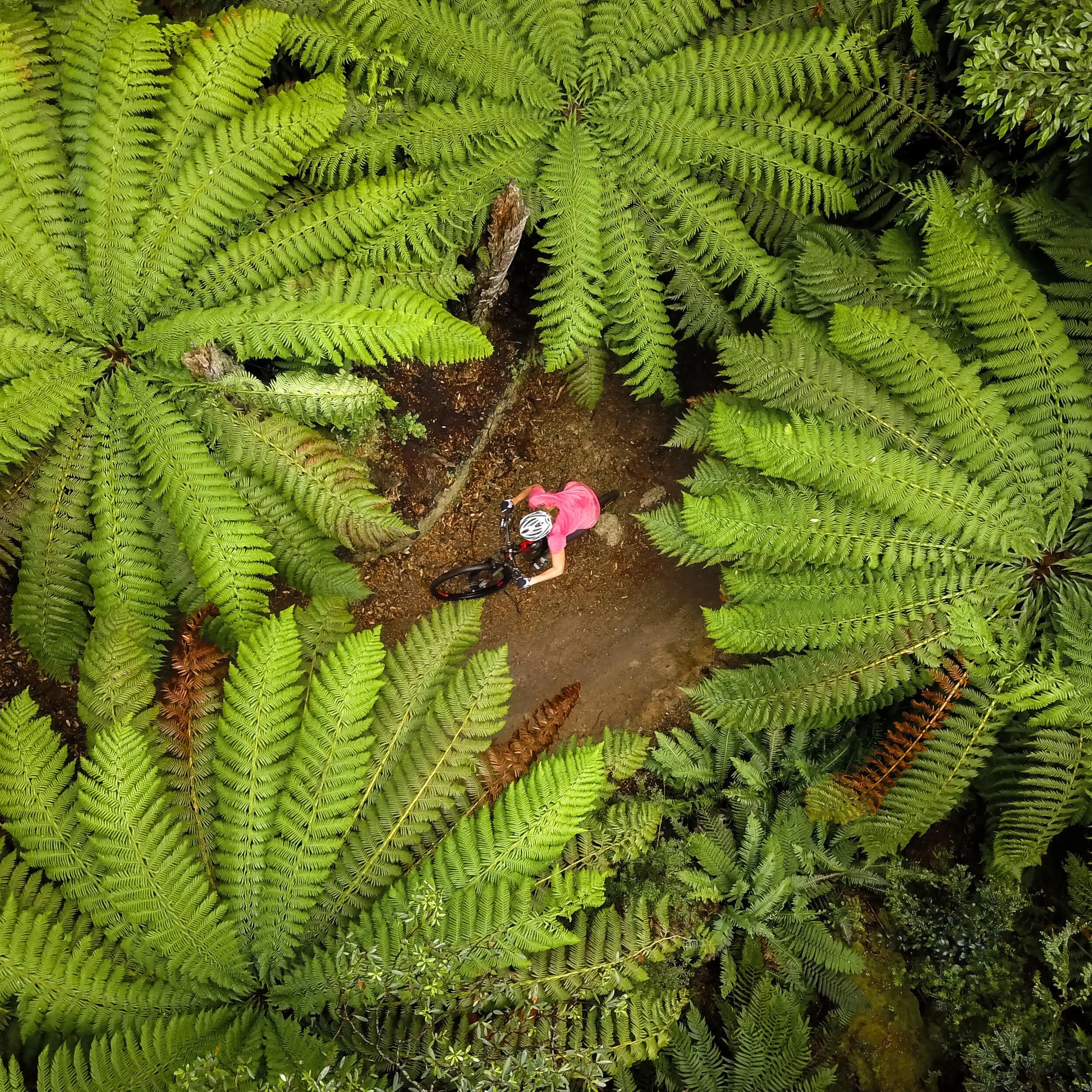 Blue Derby Pods Ride