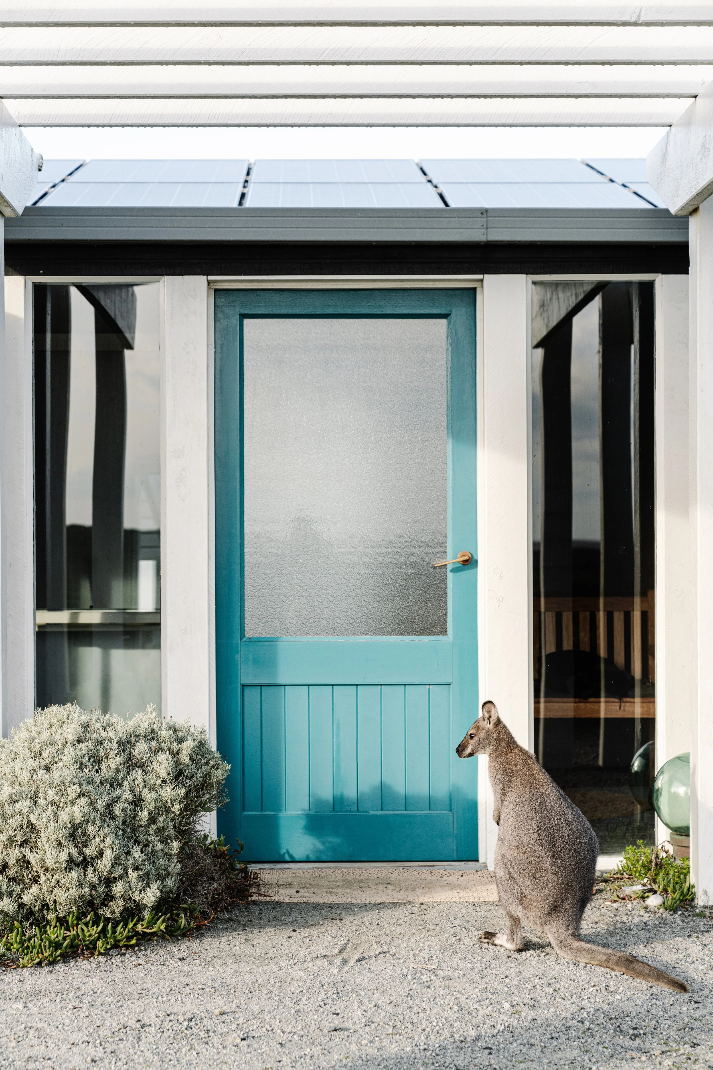 BassLodge,KingIsland_highres-15 (1).jpg