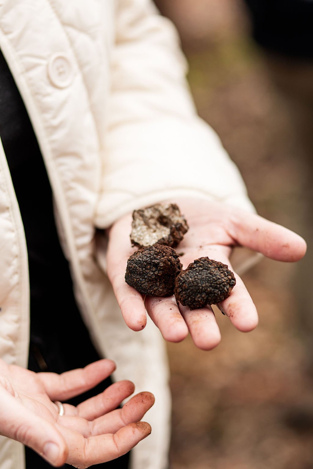 Truffle Farm - Ness Vanderburgh (1) (1).jpg