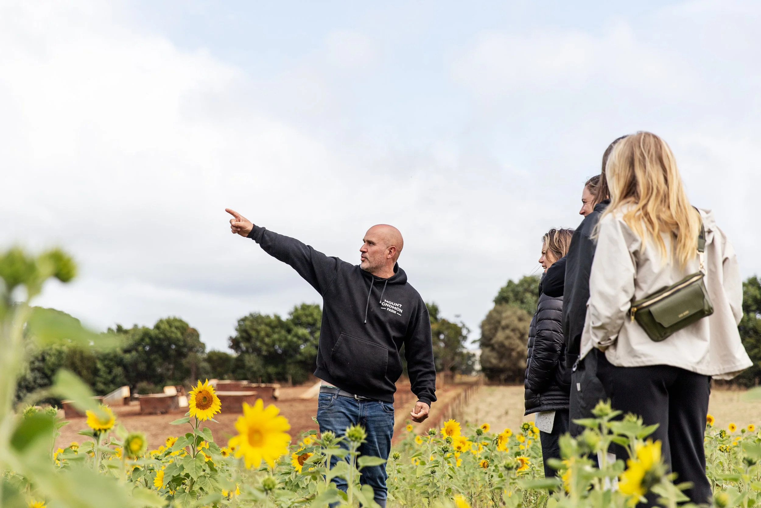 Mount Gnomon - Ness Vanderburgh.jpg