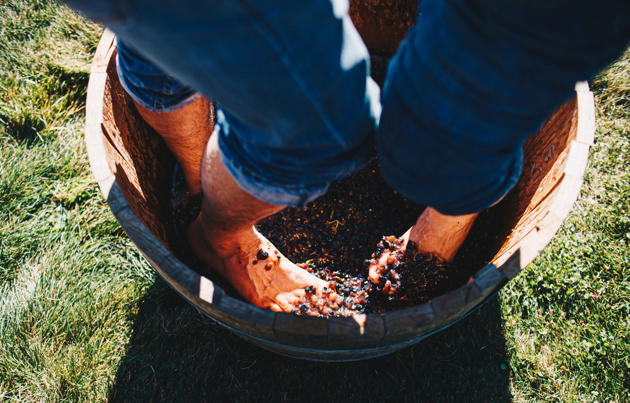 Meander Valley Vineyard - Jasper Da Seymour (1).jpg