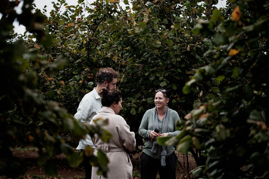 Hazelbrae Hazelnuts - Ness Vanderburgh.jpg