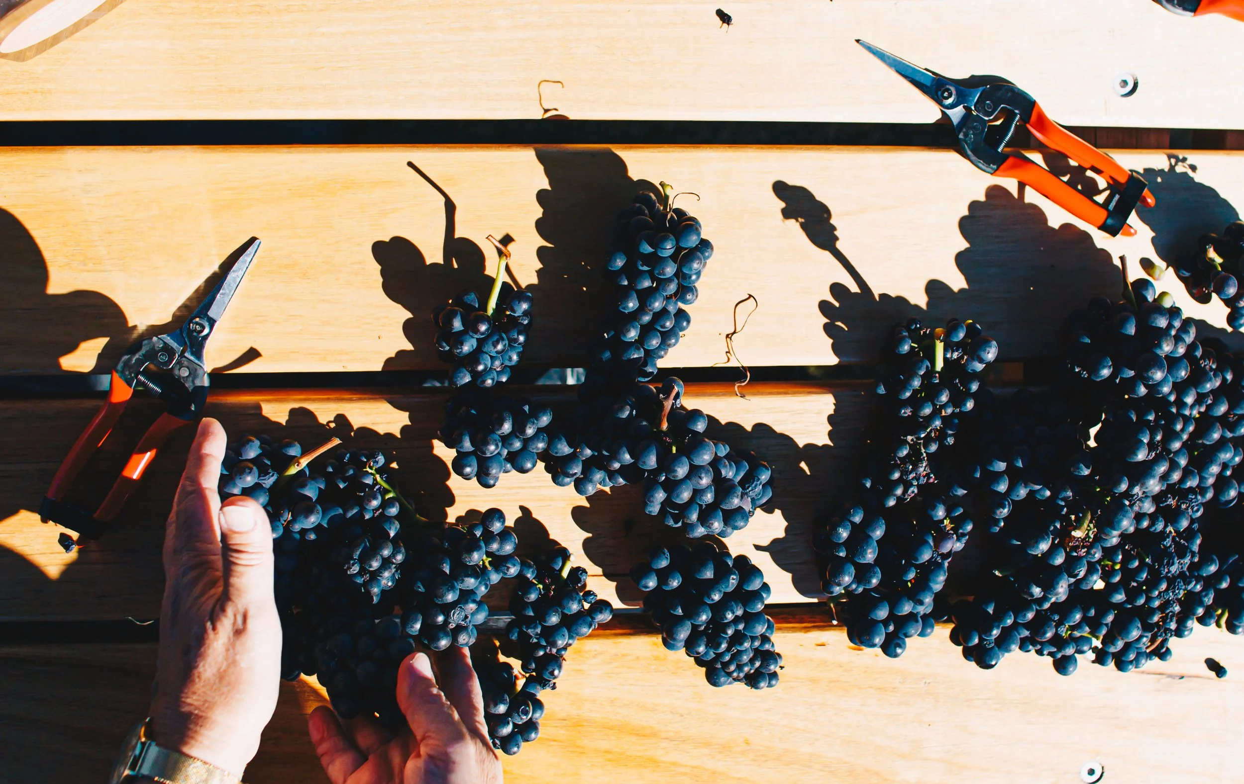 TG-2022 (92 of 172).jpg