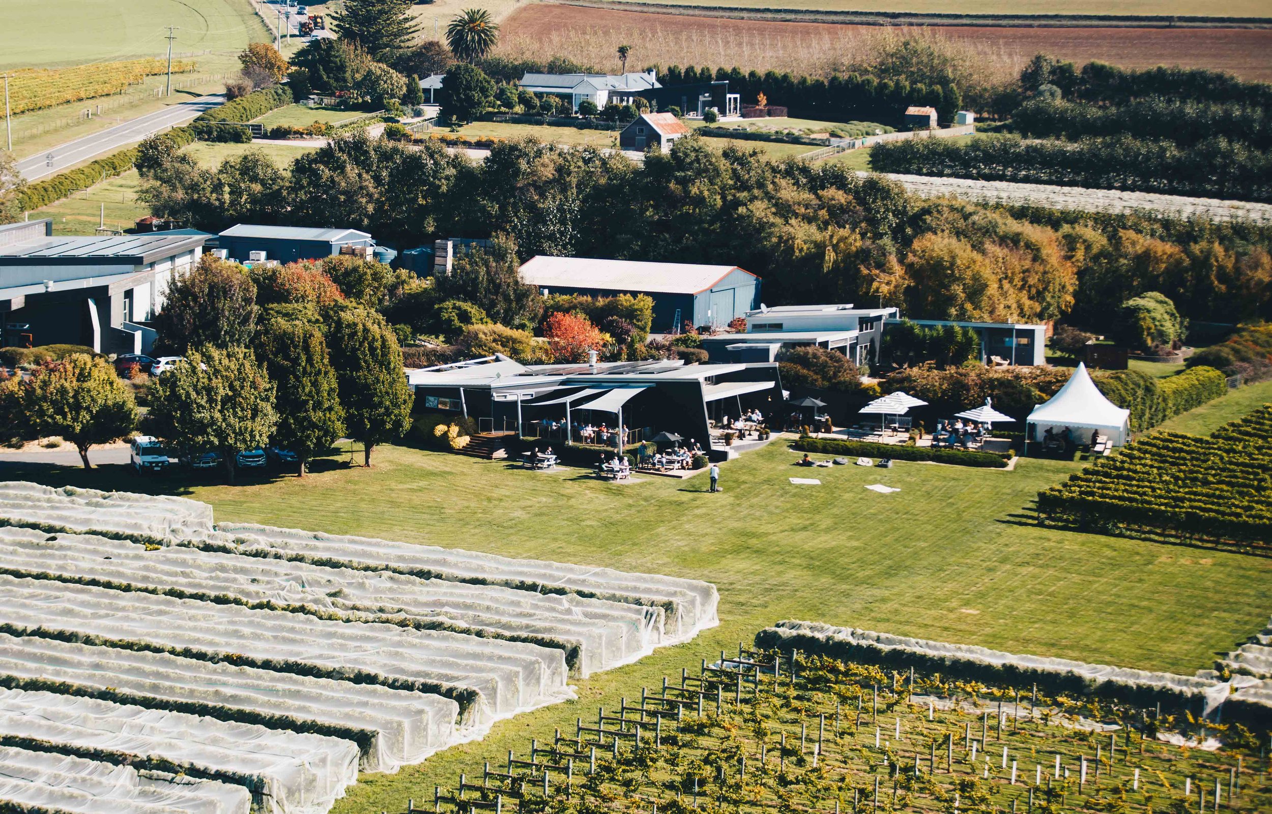 TRAILGRAZE2022 (33 of 91).jpg