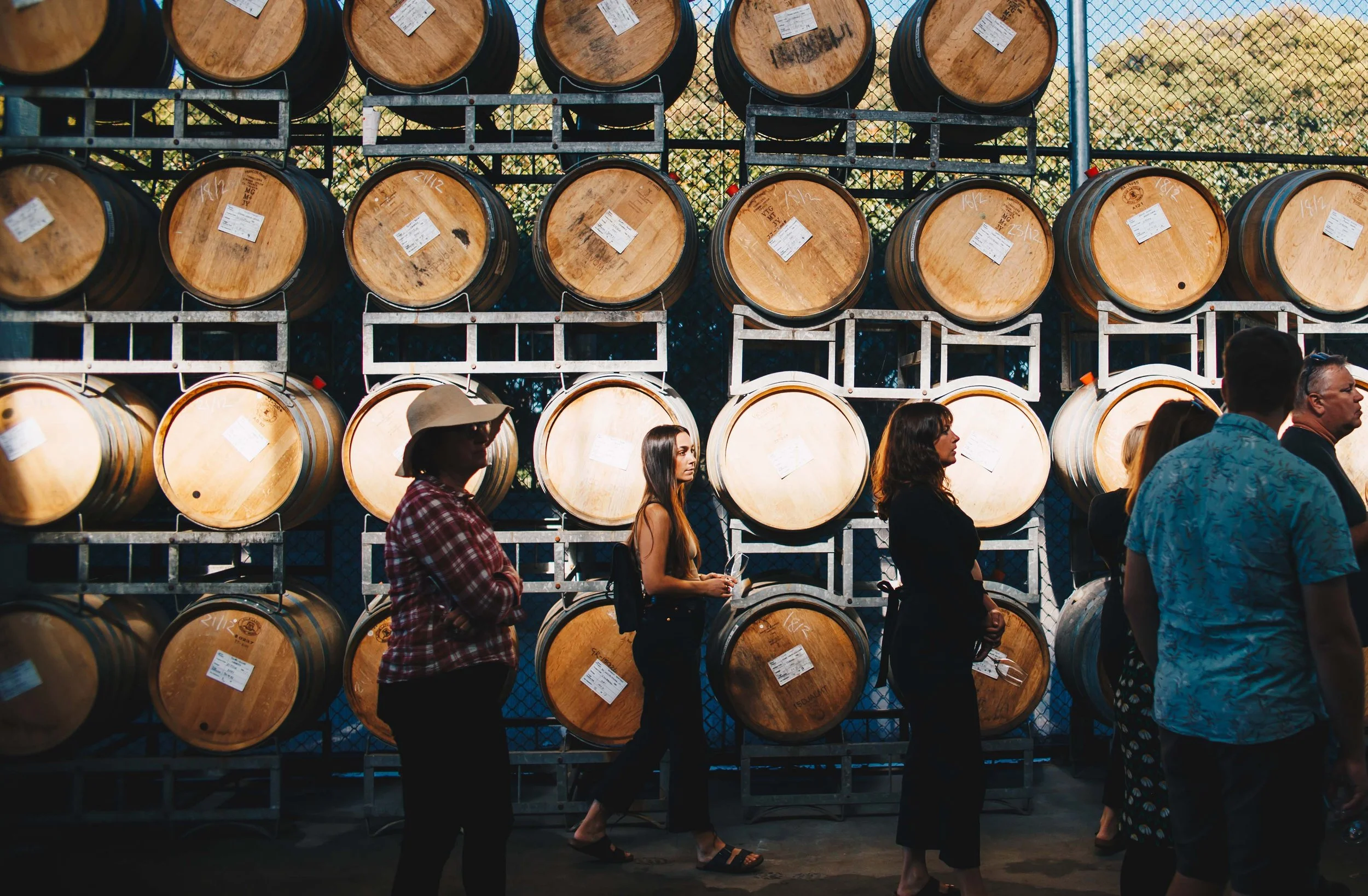 TRAILGRAZE2022 (13 of 91).jpg