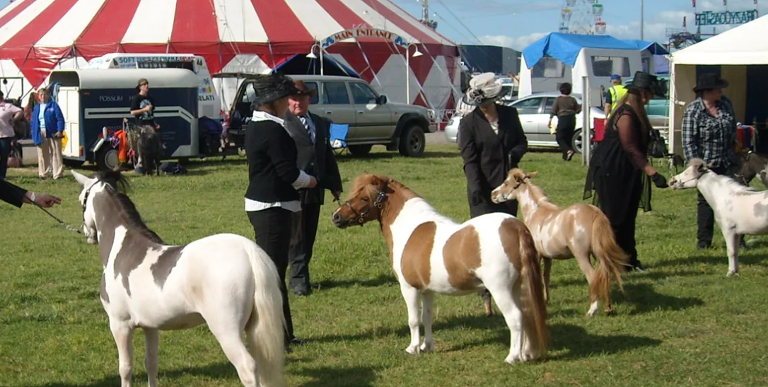 Shepparton Show