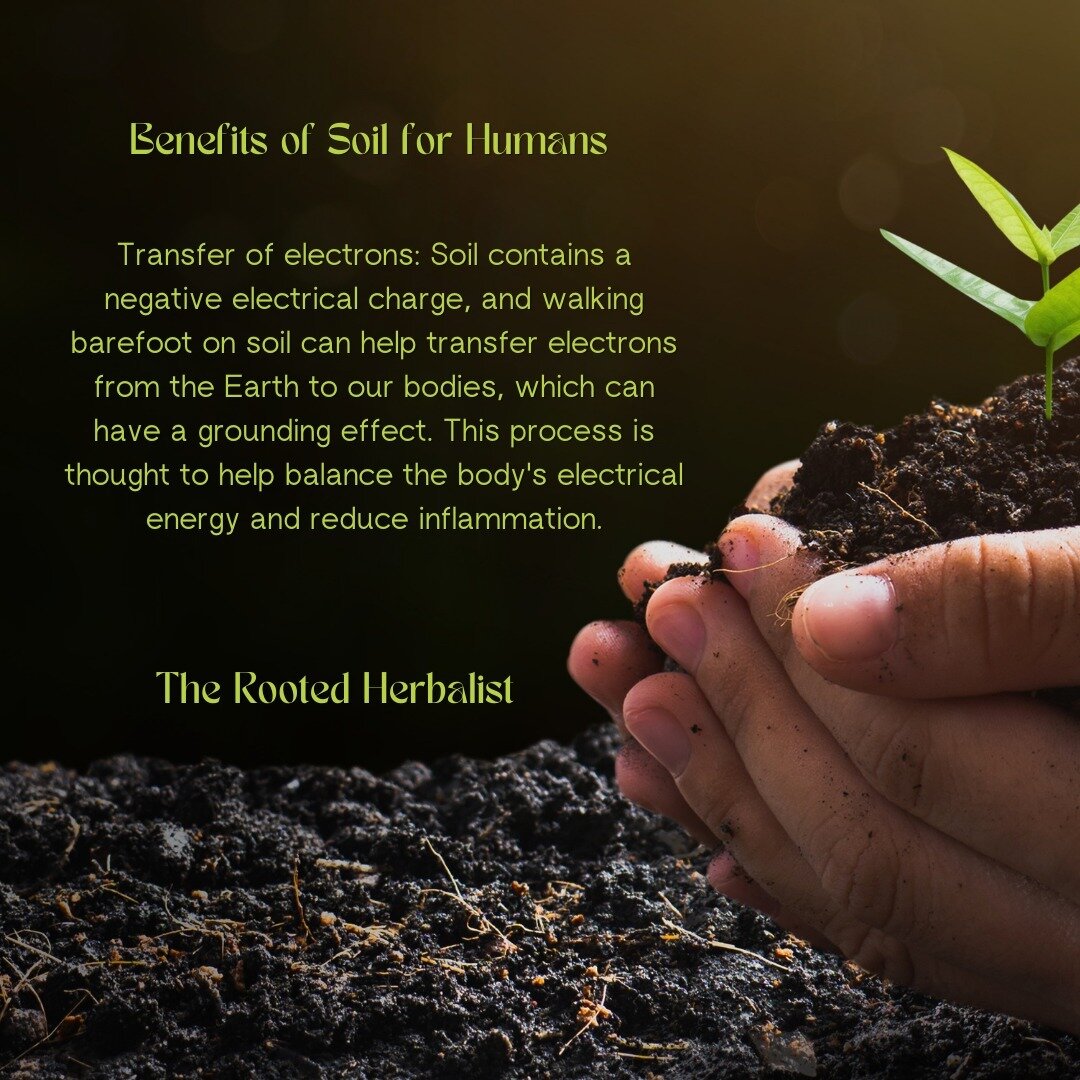 Benefits of Soil for Humans &lt;3⁠
⁠
What are you planting this week?