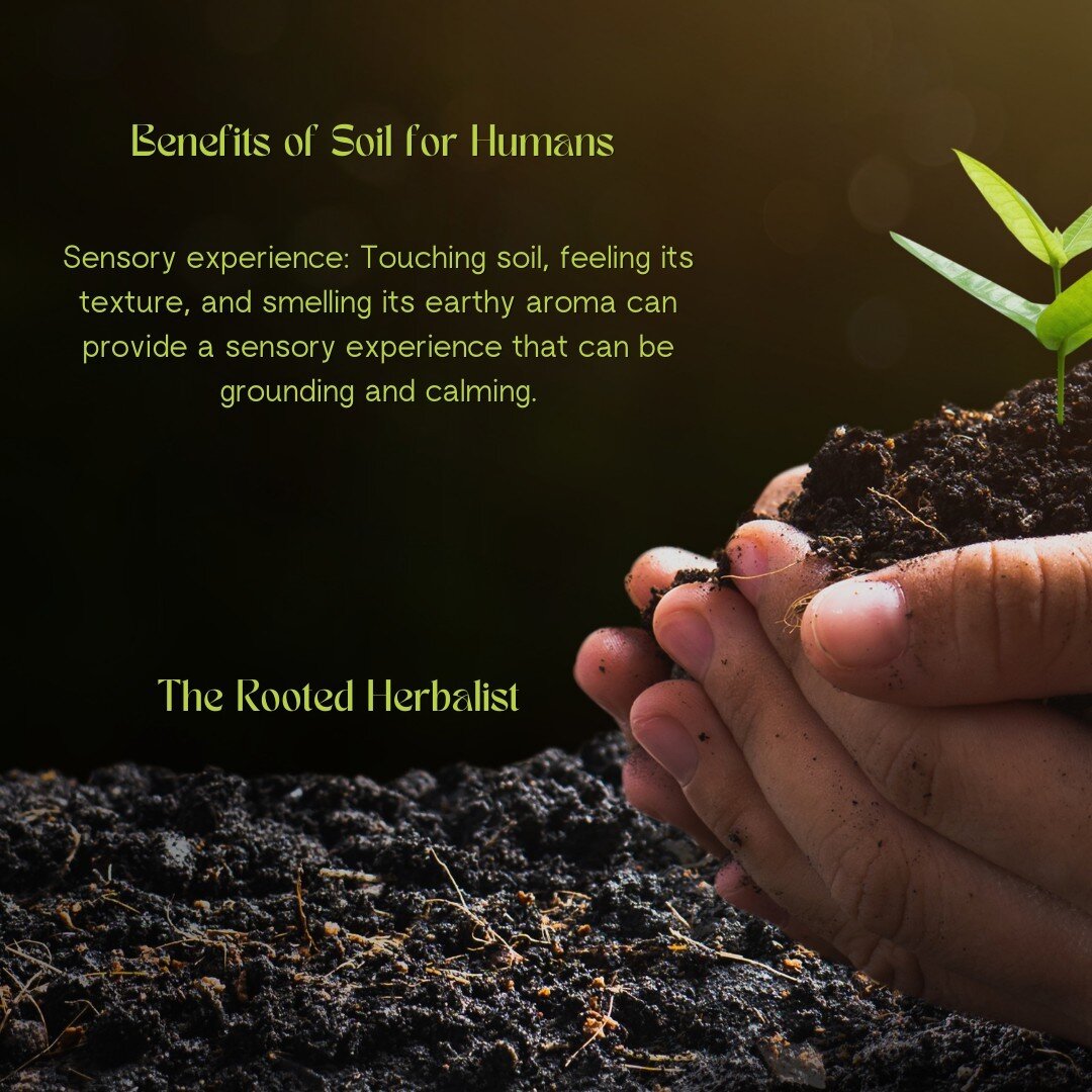 Benefits of Soil for Humans &lt;3 ⁠
⁠
Sensory experience!!! This is my favorite! I love putting fresh soil in the sensory table outside for my daughter to play with! ⁠
⁠
#sensory #sensoryexploration #gardening