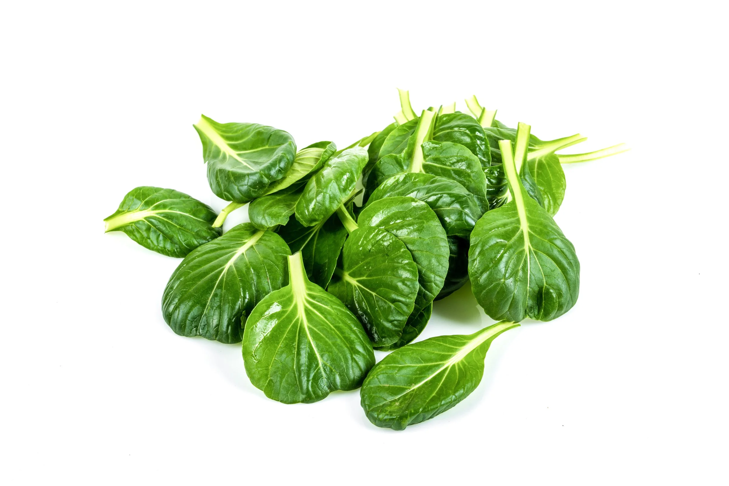 tatsoi5.jpg