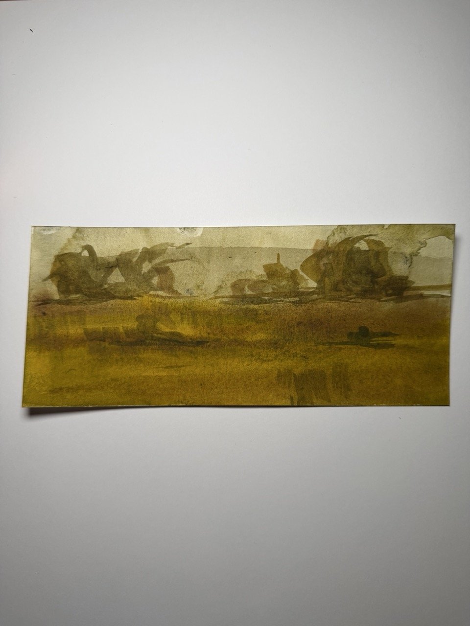 Forest Landscape