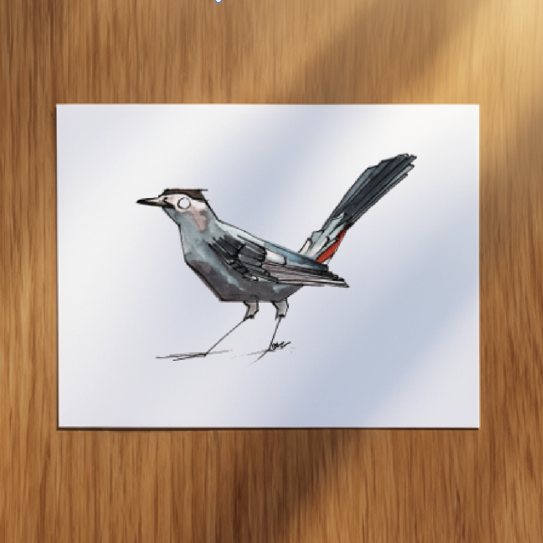 Screenshot 2025-11-14 at 10.41.06 AM.png