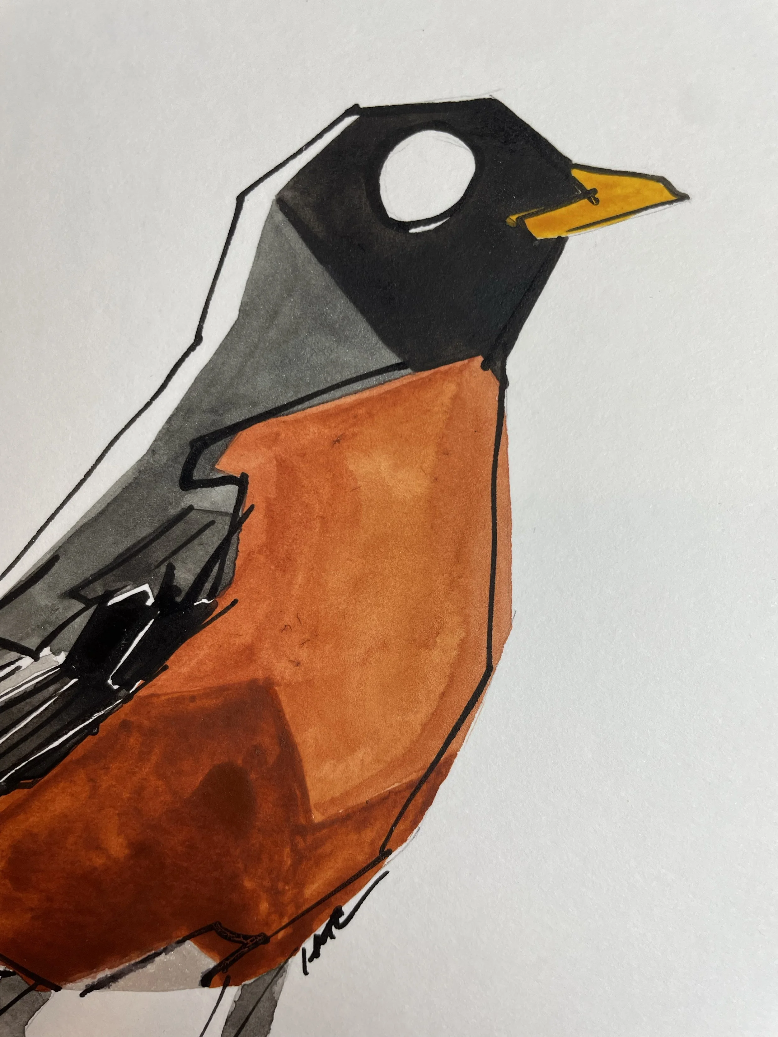 AmericanRobinCloseup.jpg