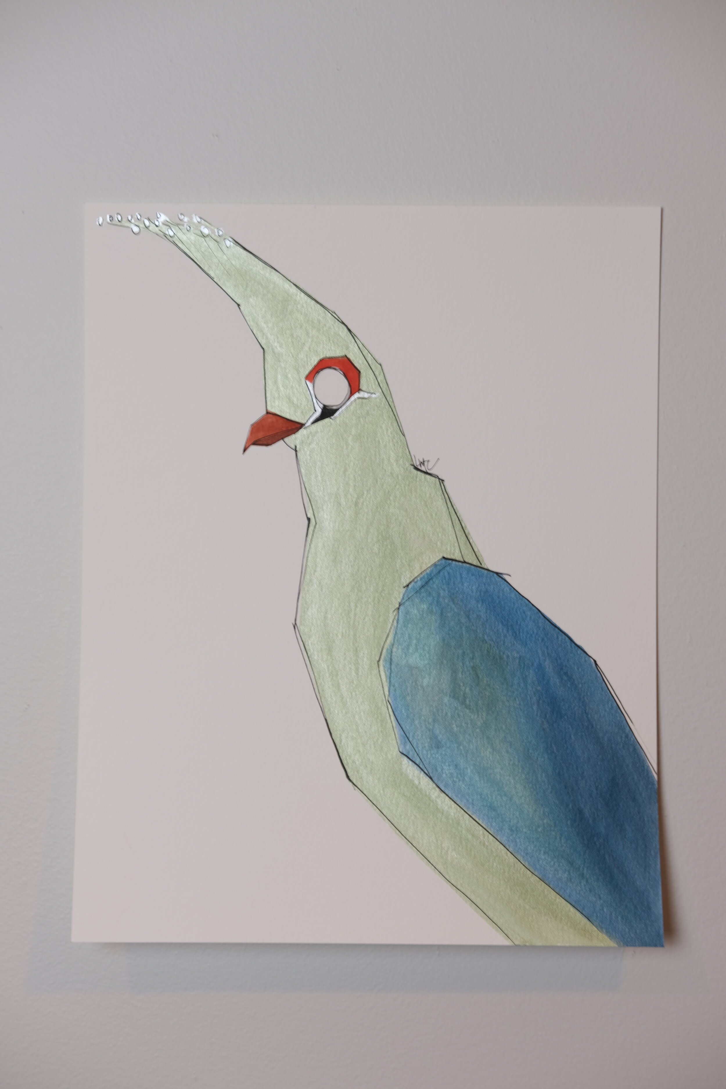 wcturaco.jpeg