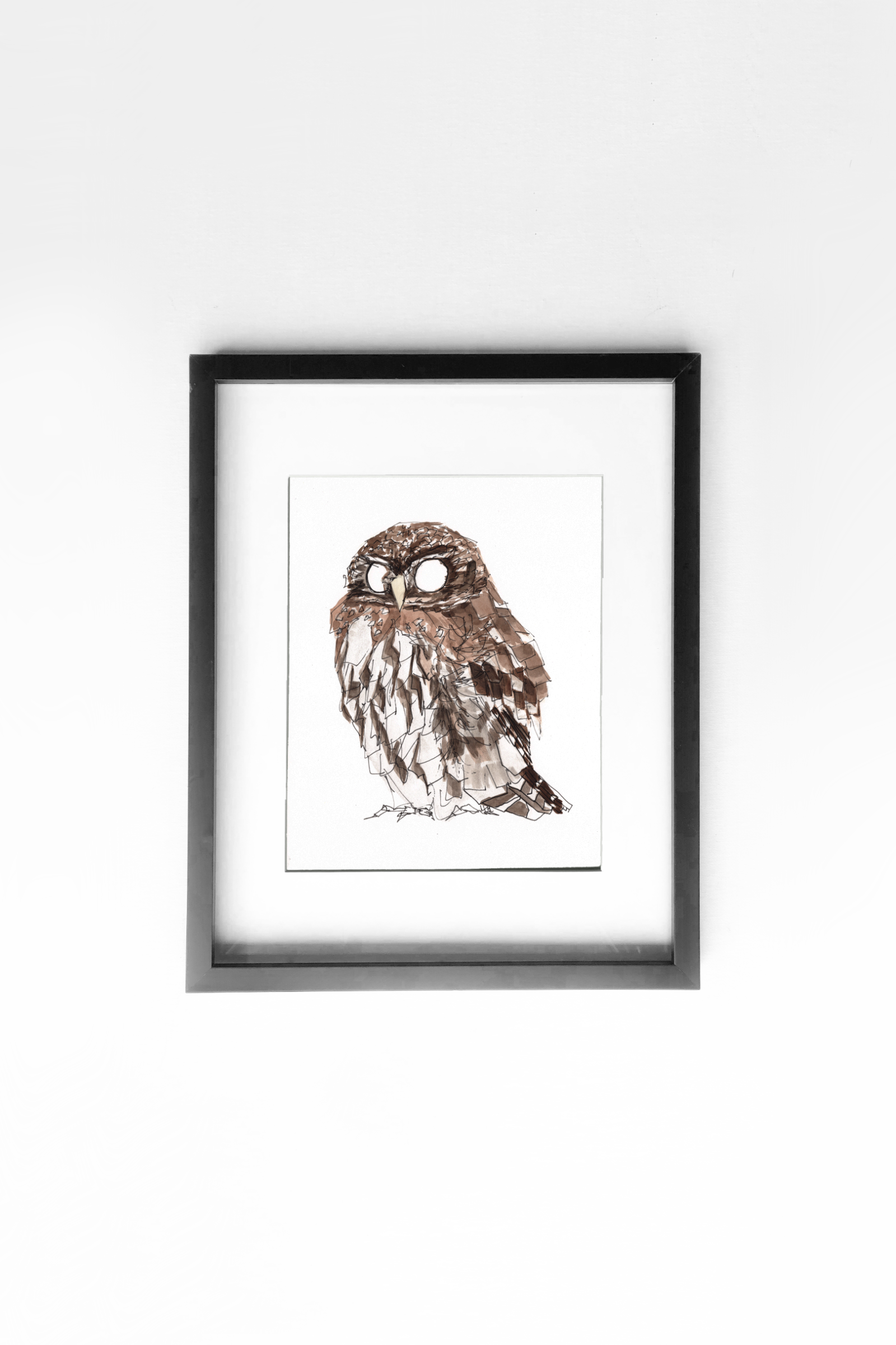 Northern Pygmy-Owl