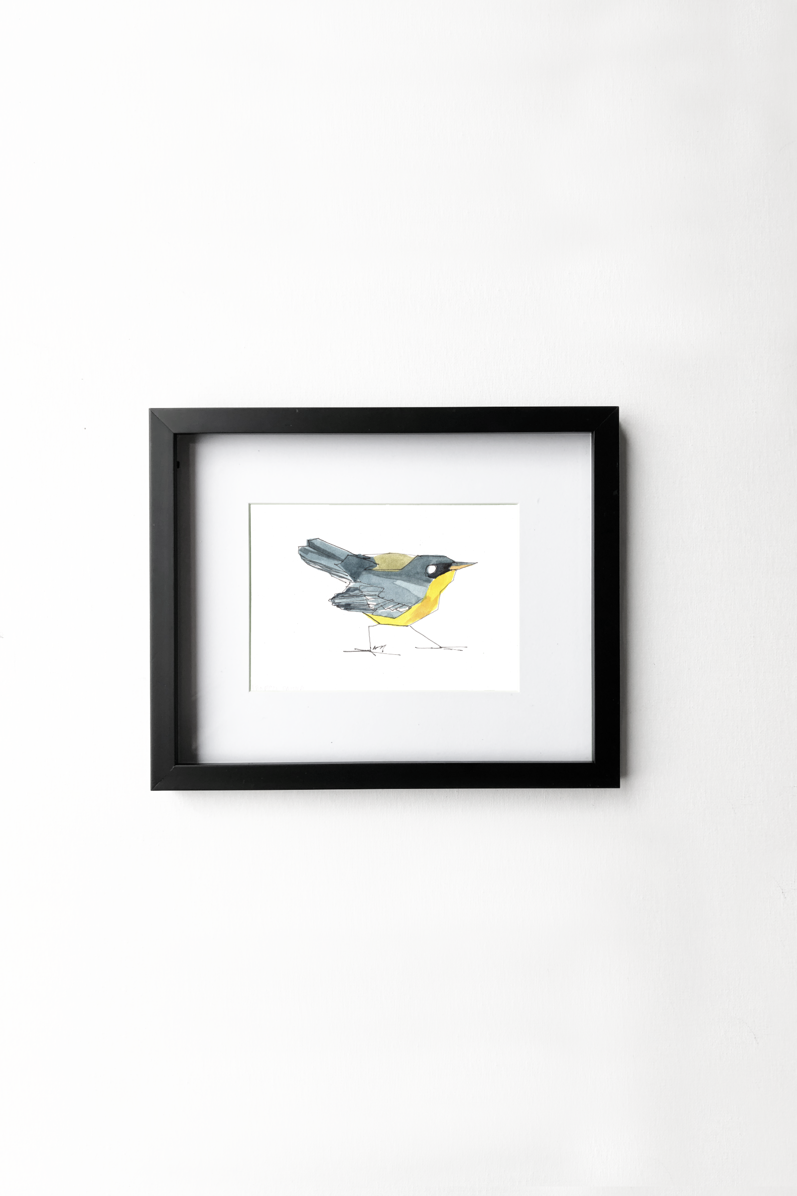 Tropical Parula