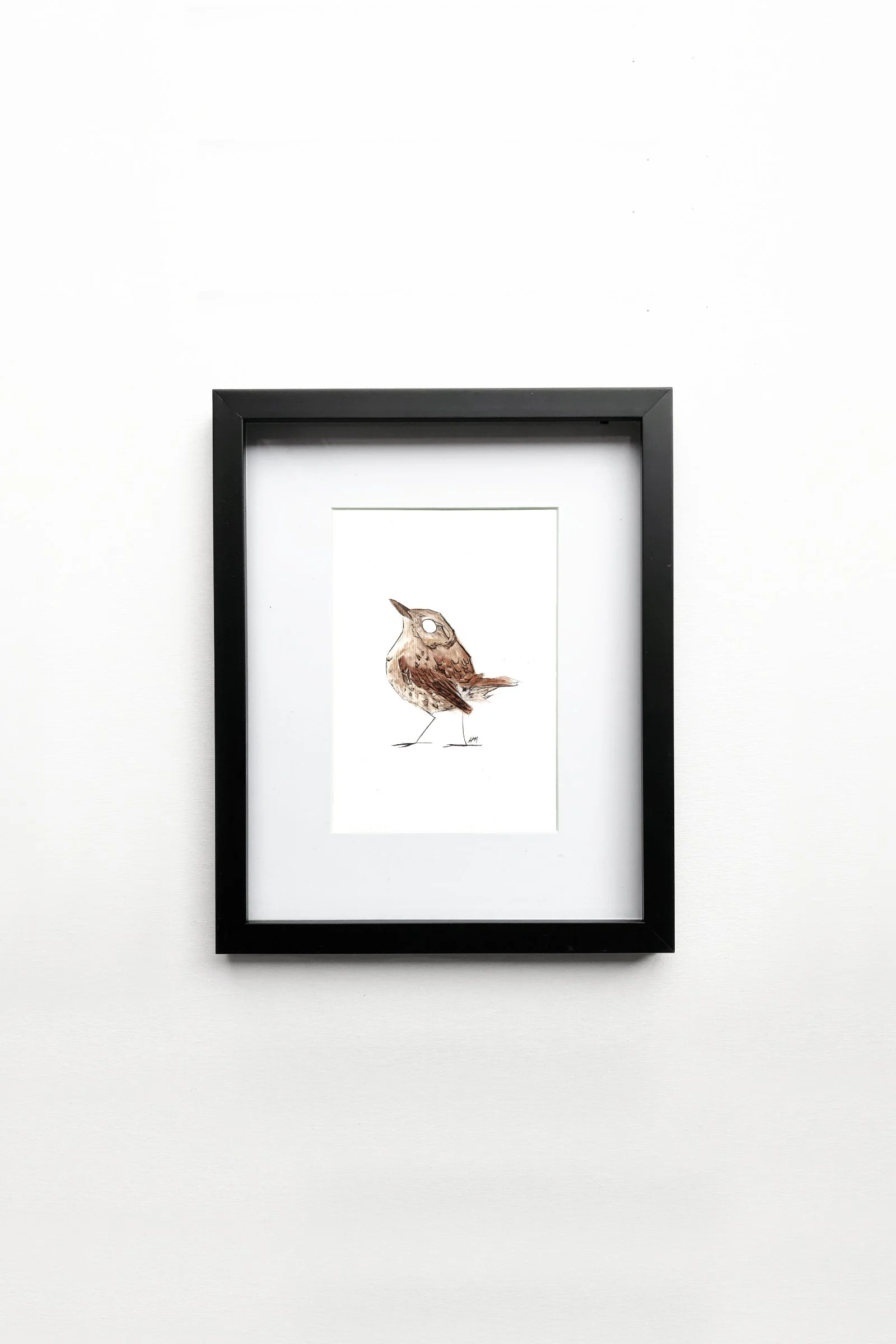 Winter Wren