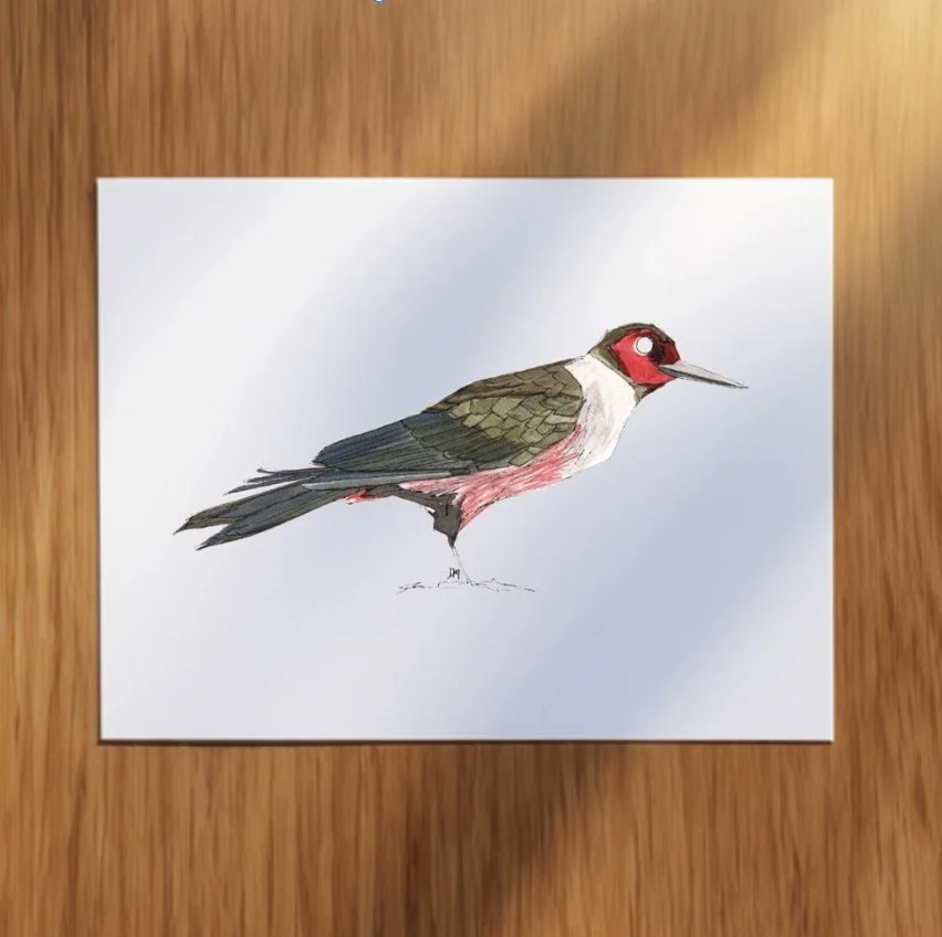 Woodpecker_Pack_Lewis.jpeg