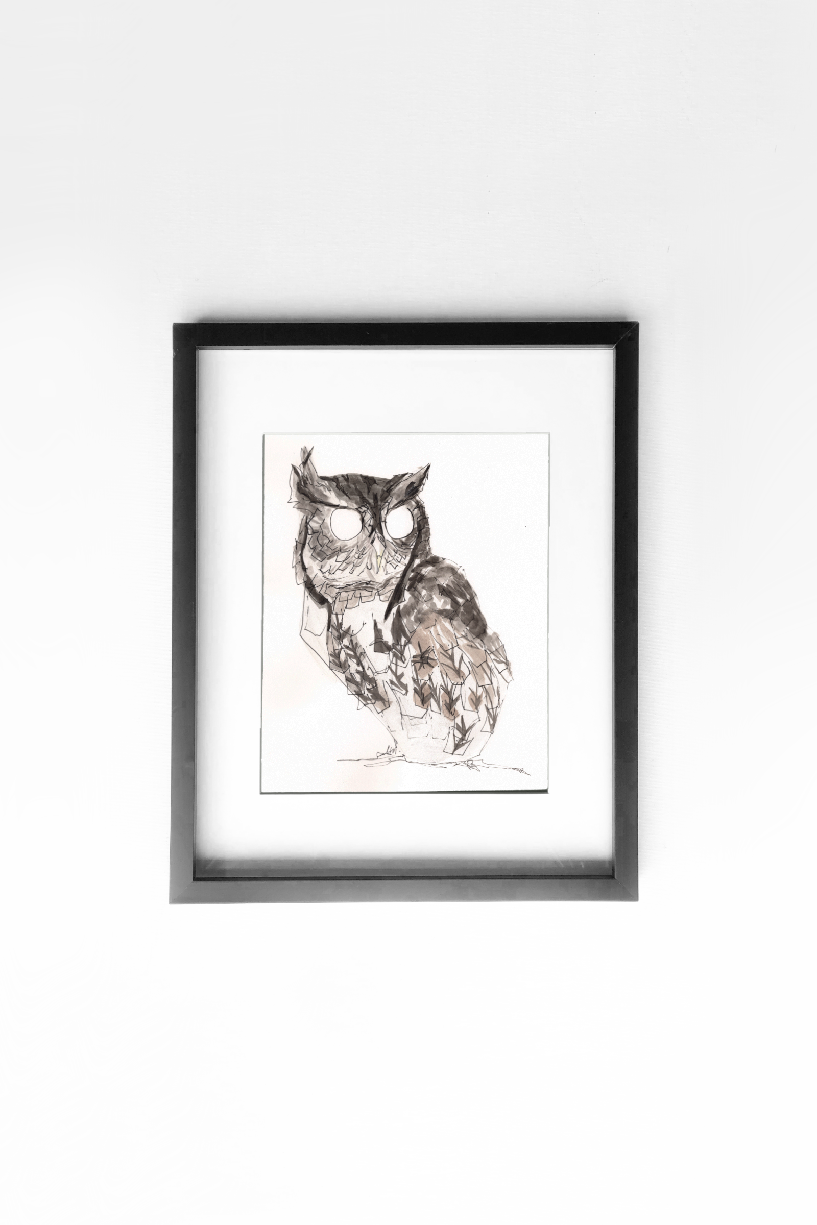 Eastern Screech Owl