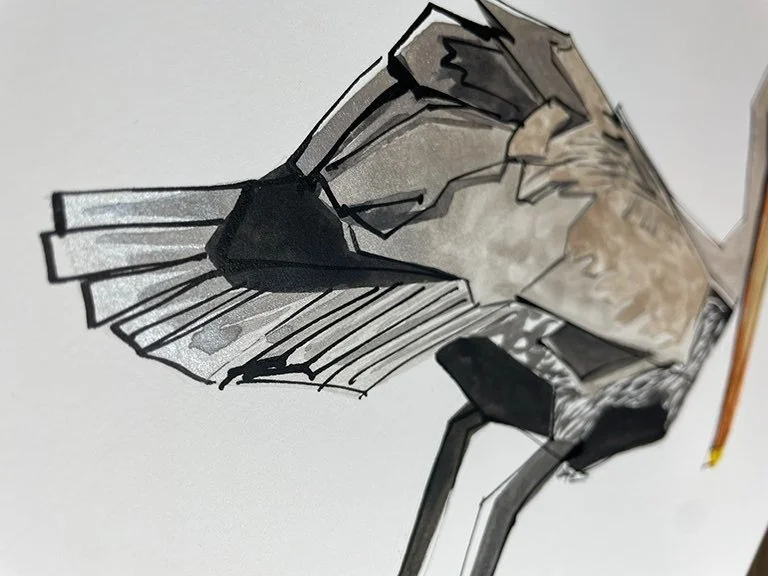 Watercolor painting of a Brown Pelican by artist Hannah Maltry
