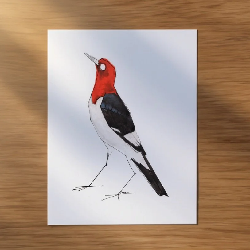 Woodpecker_Pack_RedHead.jpeg