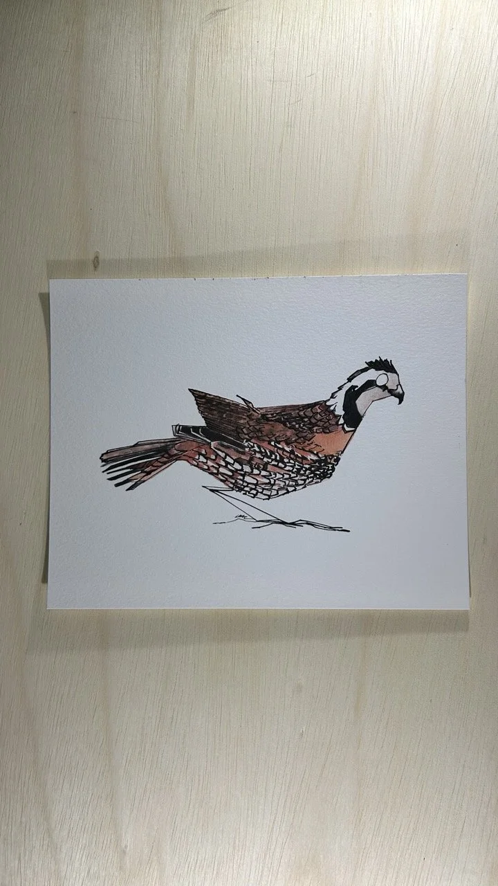 Smudged Quail