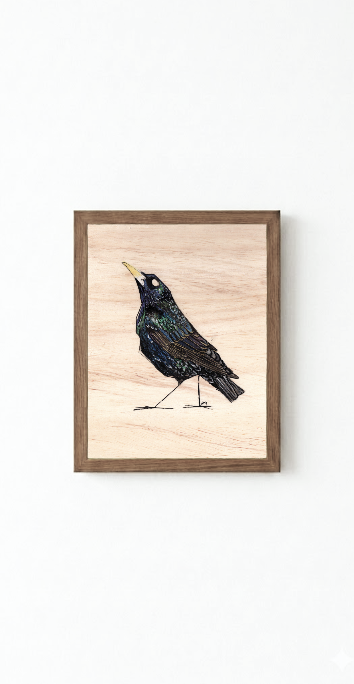 Starling_Framed.png