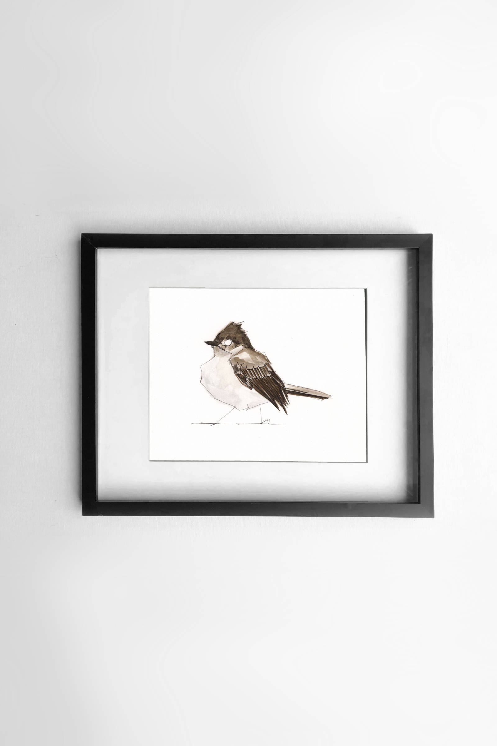 EasternPhoebe_Framed.png