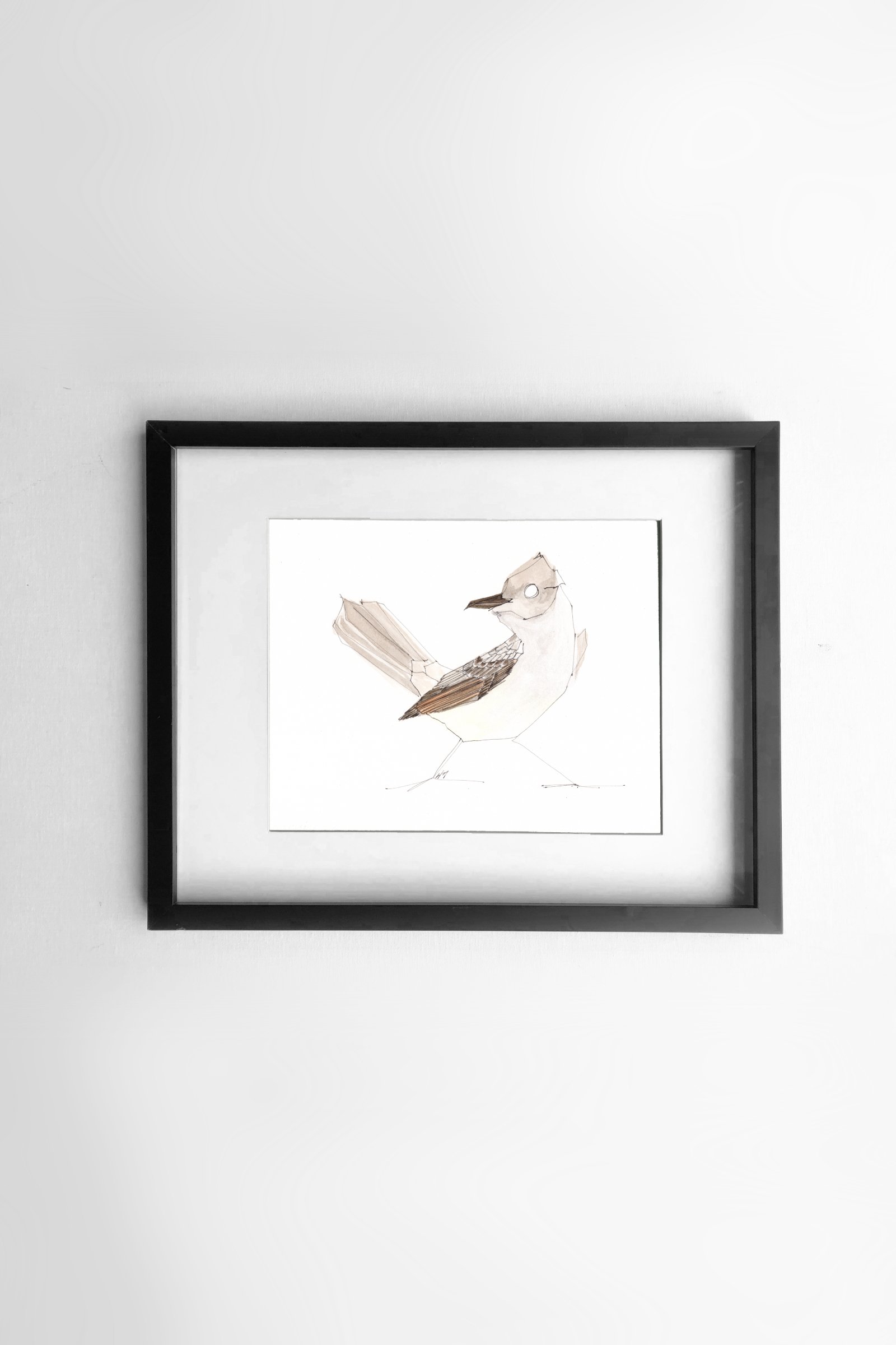 Ash-throated Flycatcher