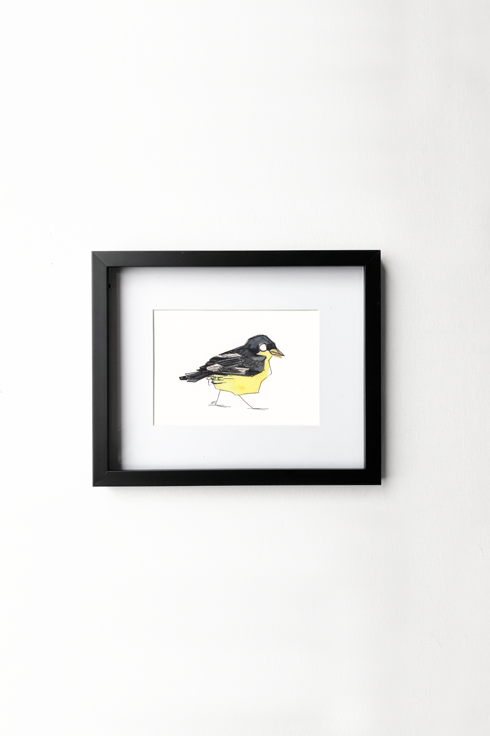 LesserGoldfinch_Framed.png