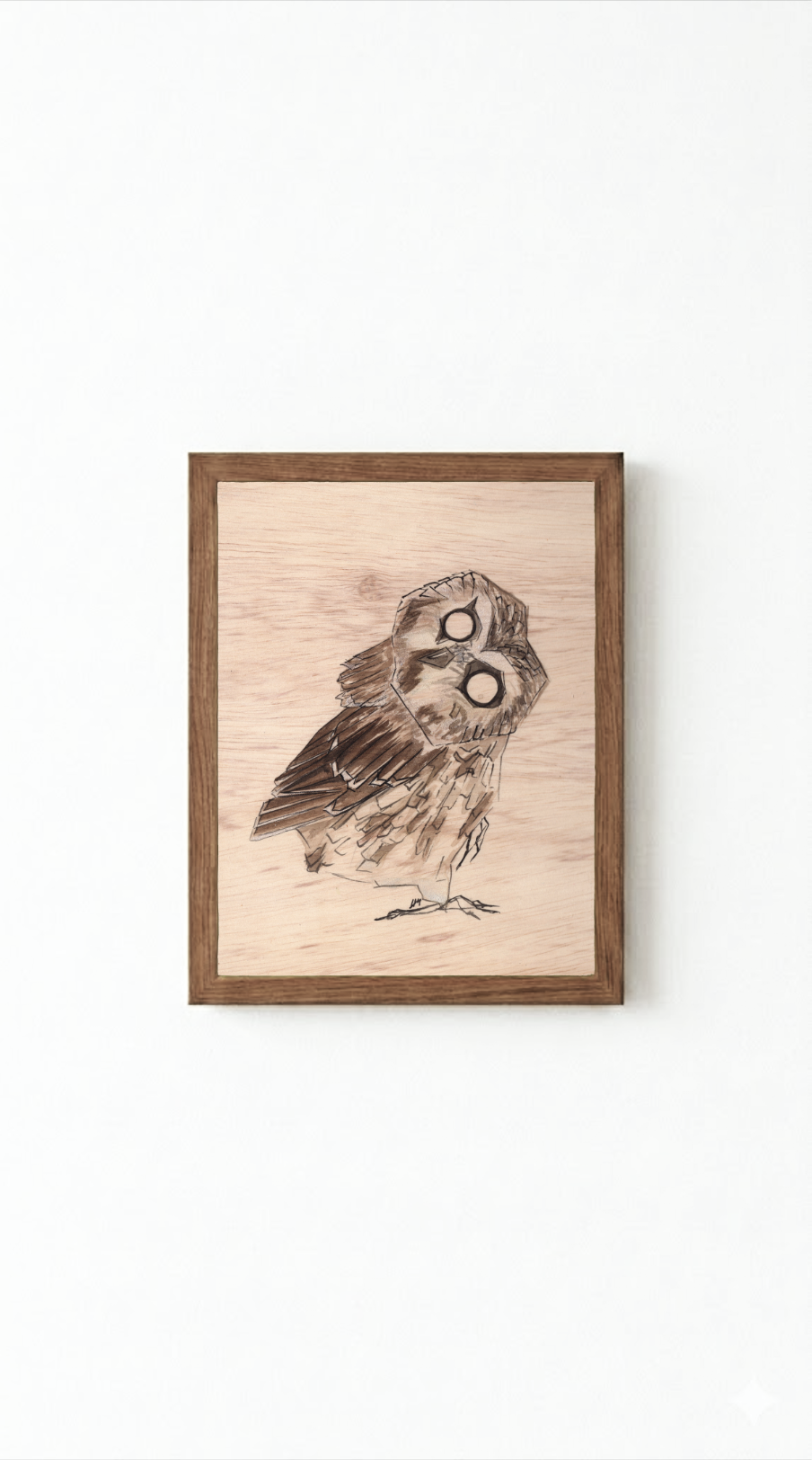 Northern Saw-whet Owl