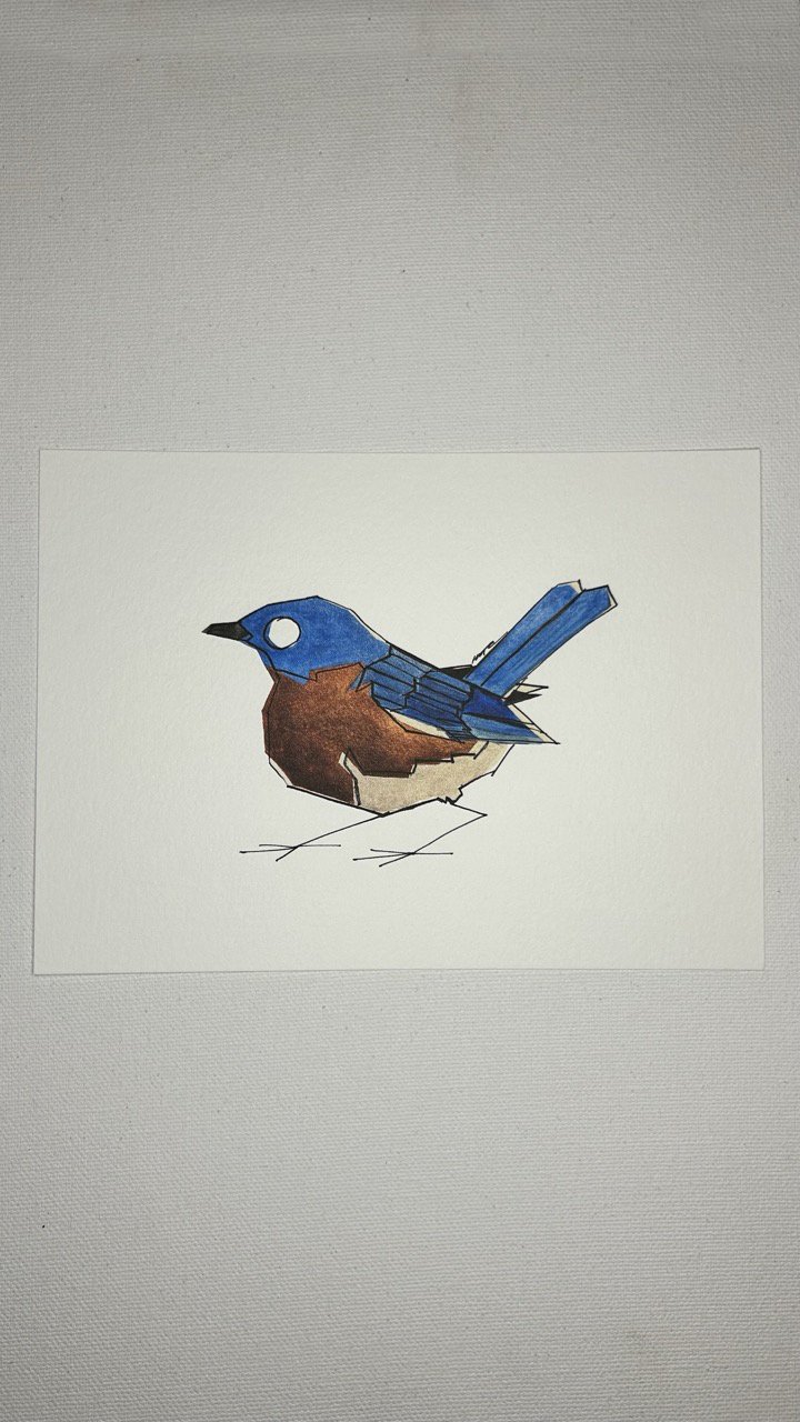 Off Color Eastern Bluebird