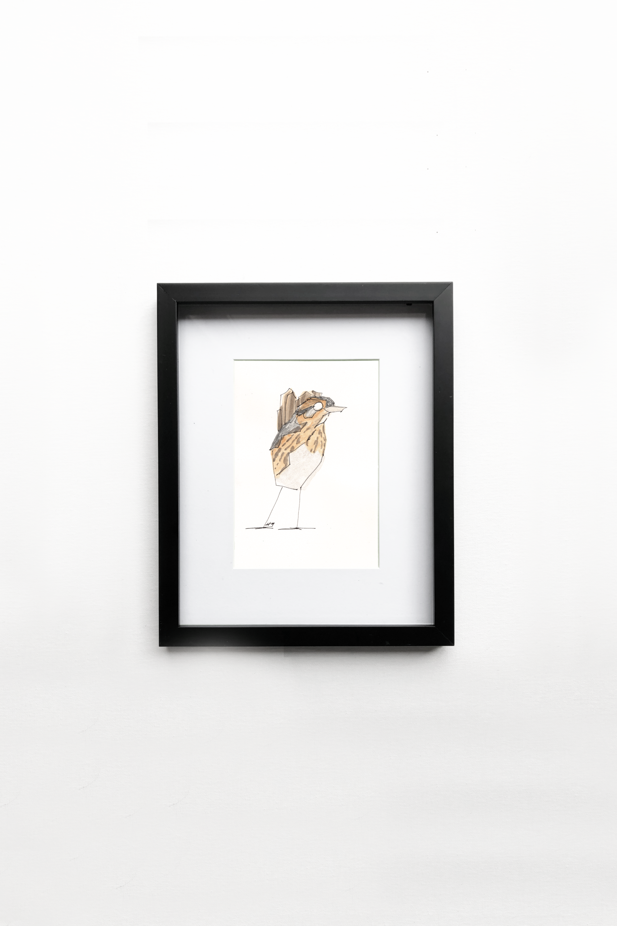 Nelson’s Sparrow