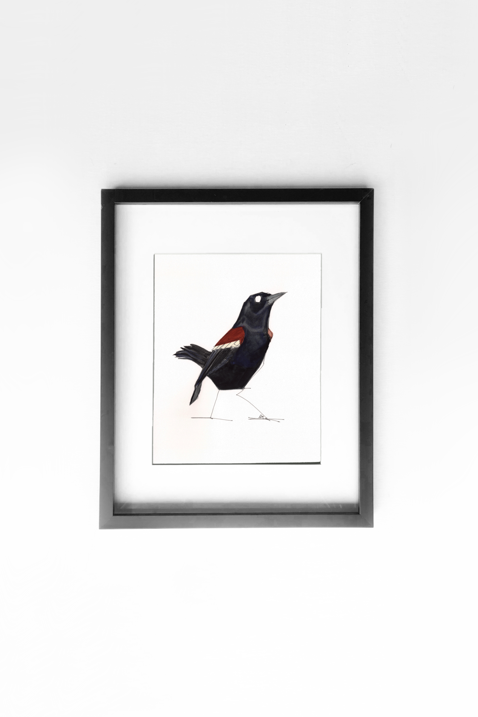 Tricolored Blackbird