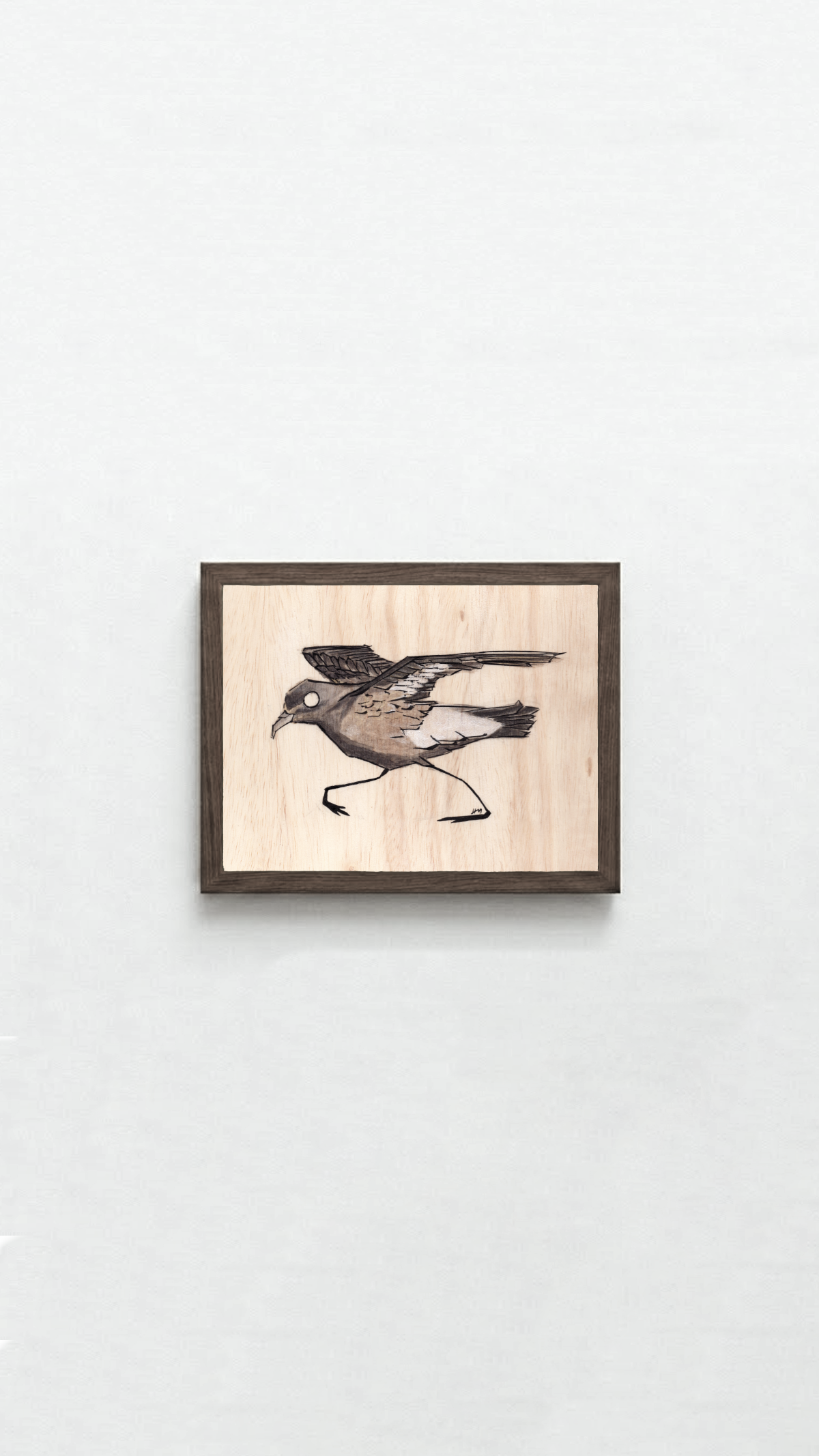 Petrel_European_Storm_Framed.png