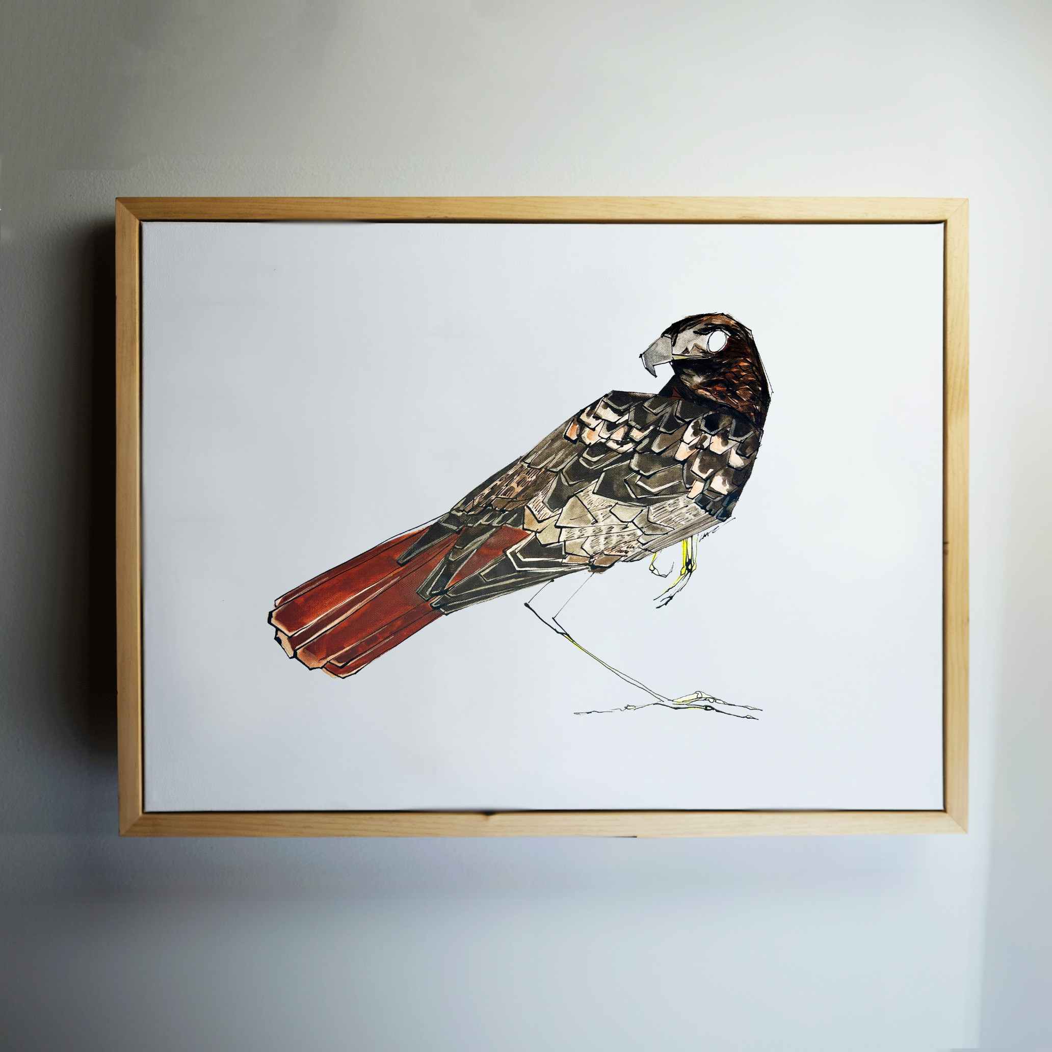 RedTailedHawk_Frame.png