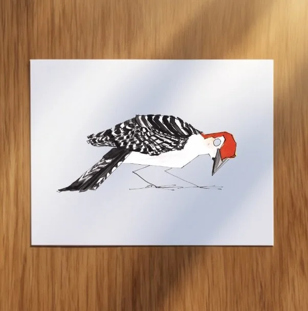 Woodpecker_Pack_Redbelly.jpeg