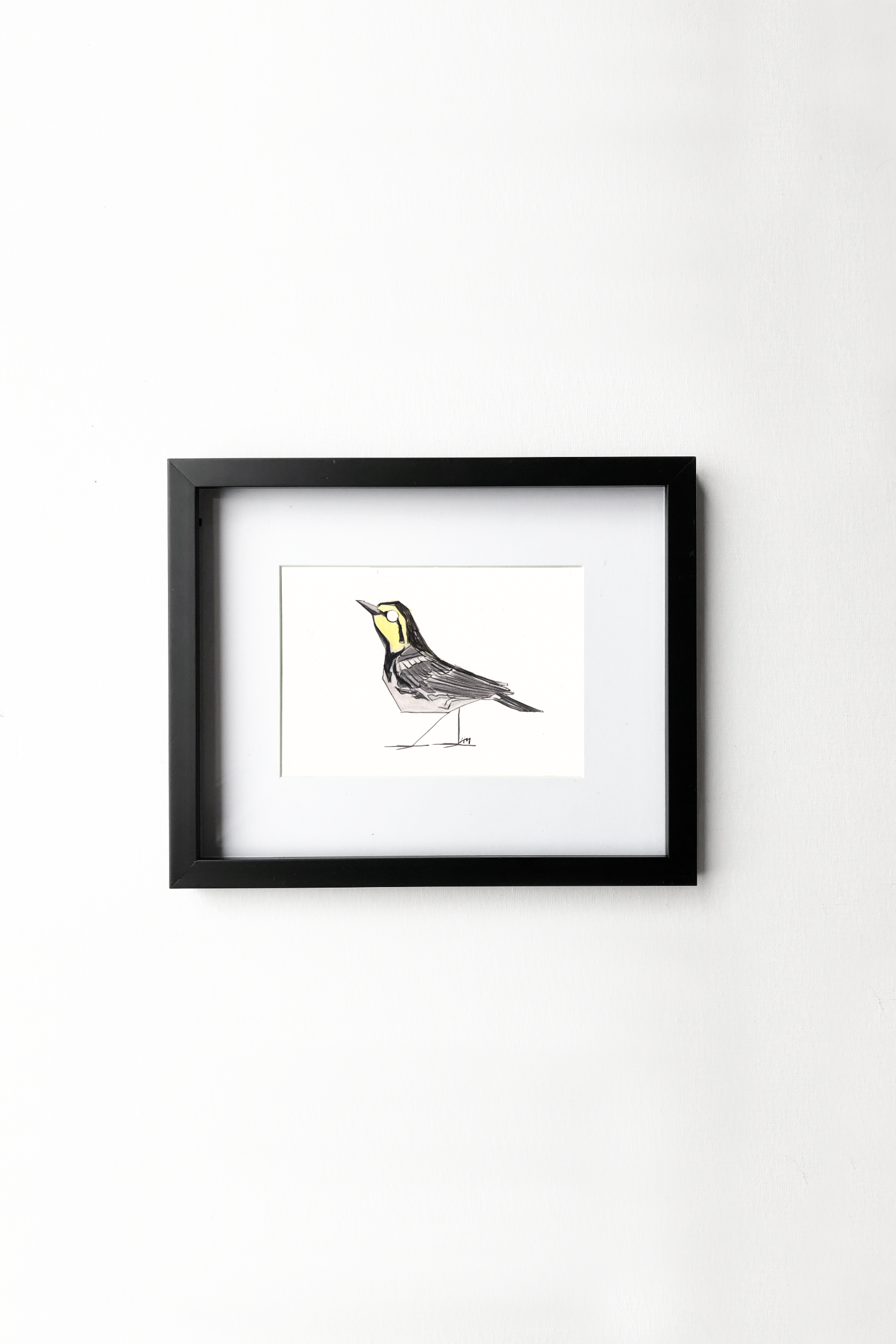Warbler_GoldCheeked_Framed.png