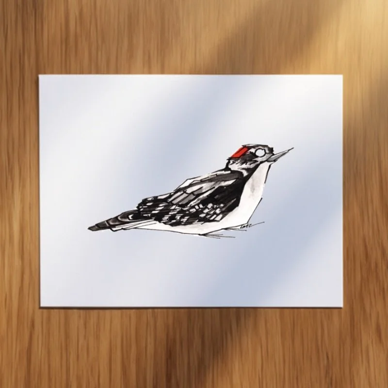 Woodpecker_Pack_Downy.jpeg