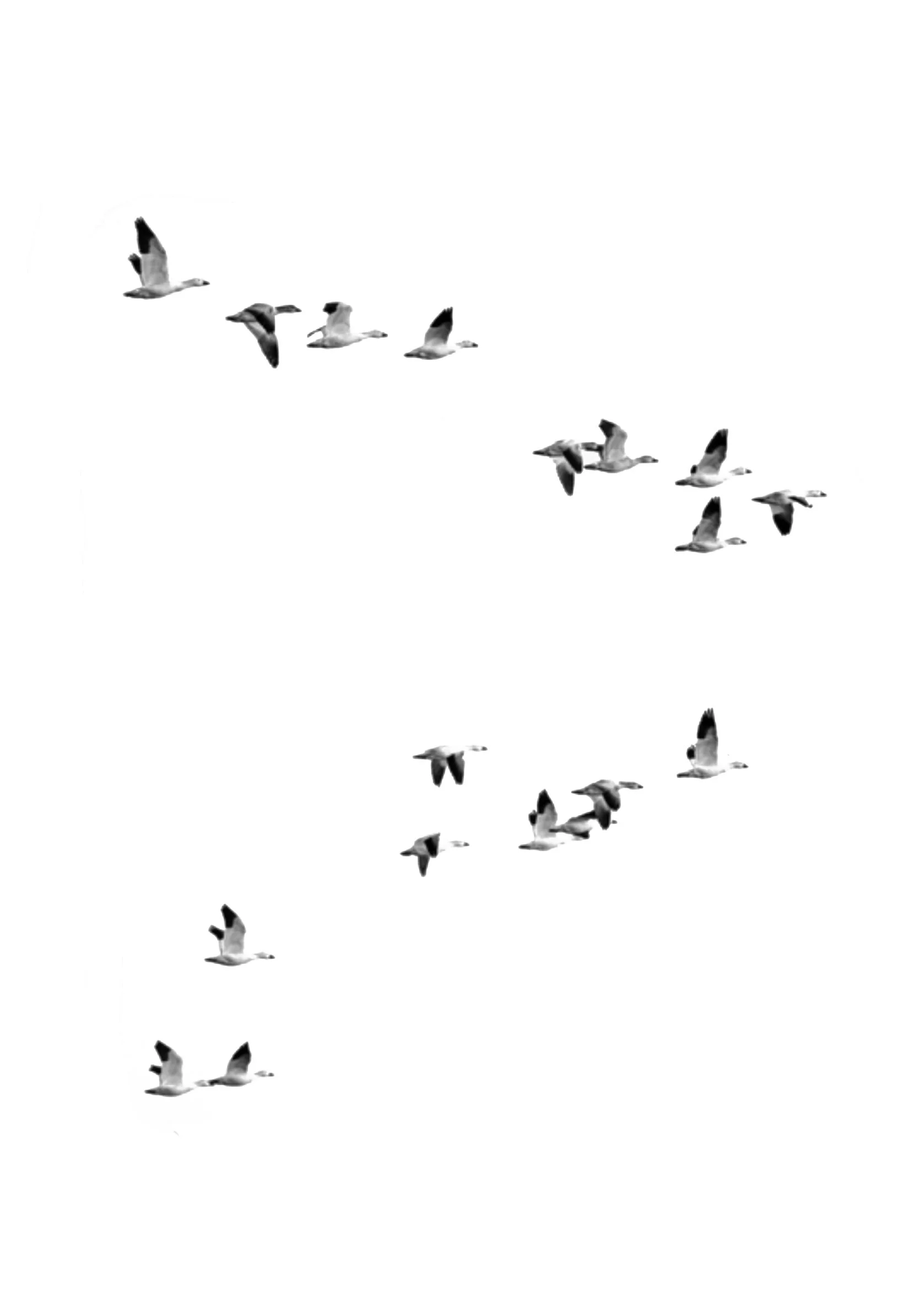 Untitled_Artwork 8.jpg