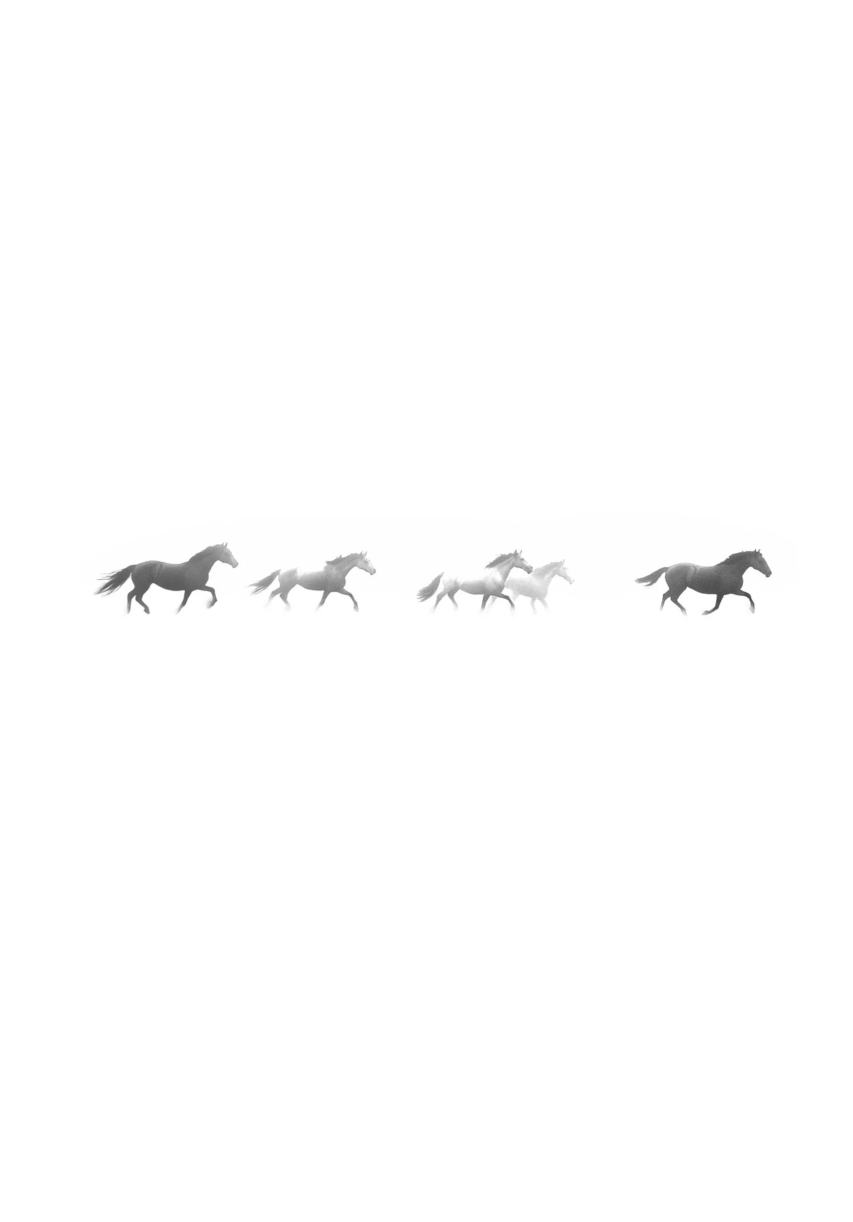 Untitled_Artwork 6.jpg