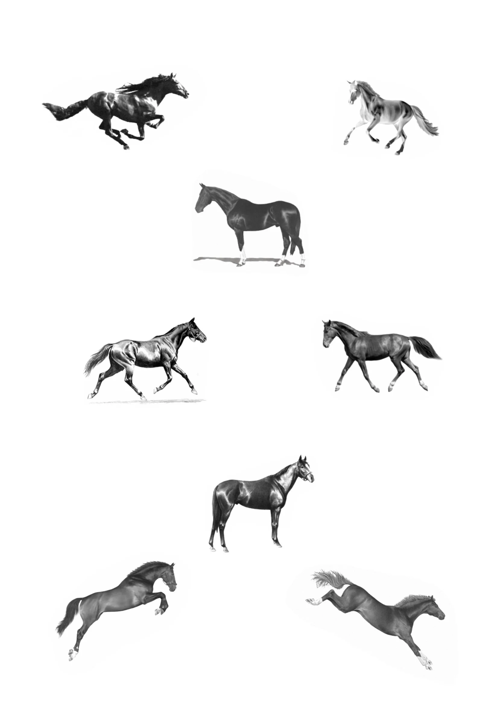 Untitled_Artwork 2129.jpg