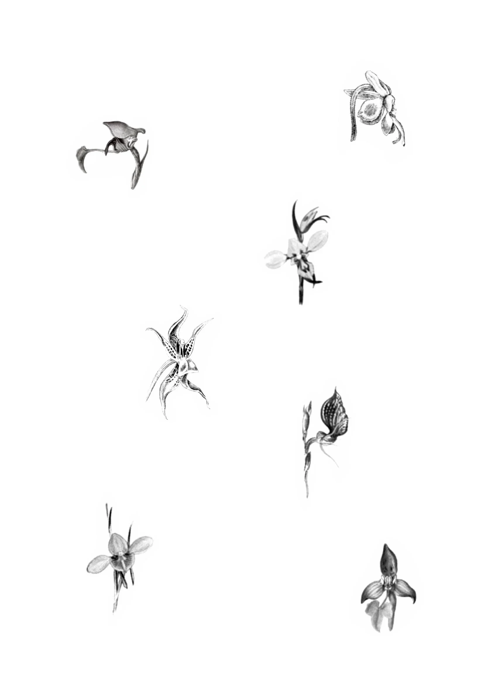 Untitled_Artwork 2142.jpg