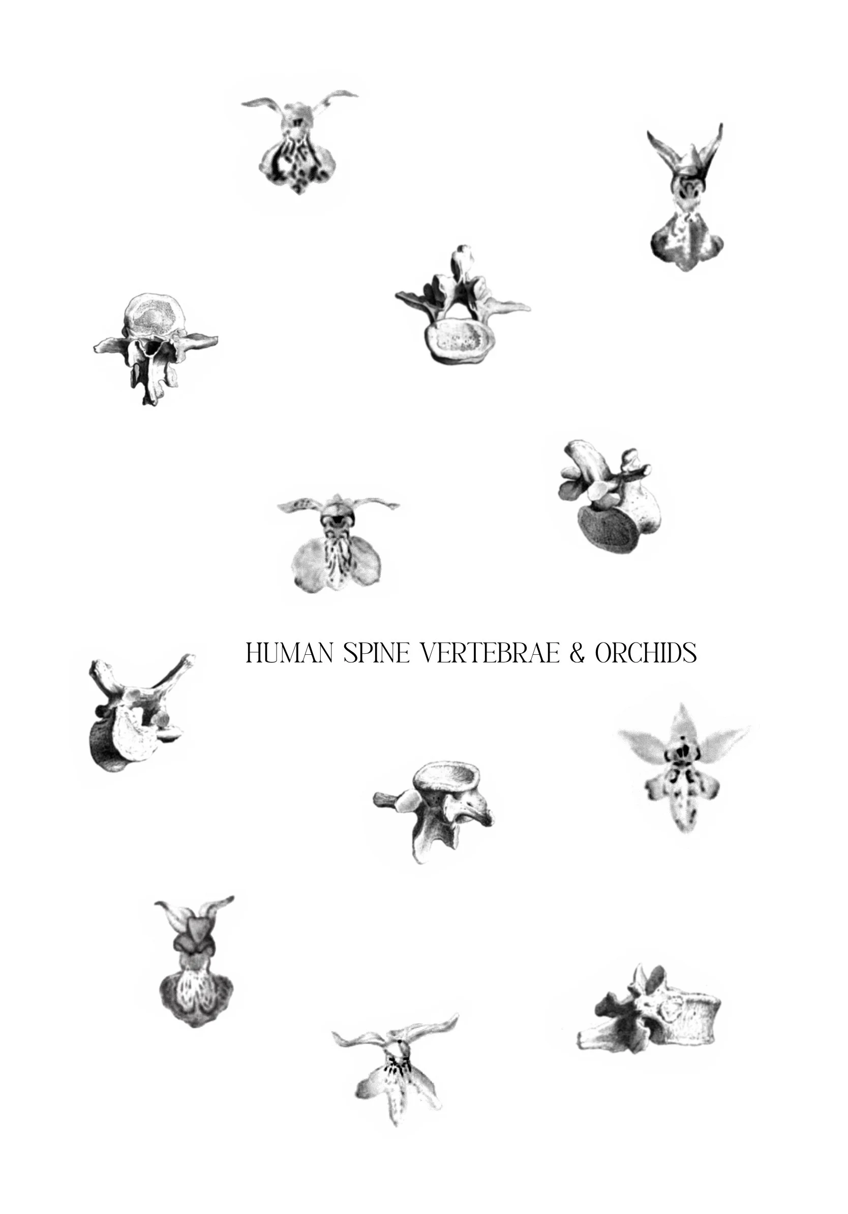 Untitled_Artwork 2137.jpg