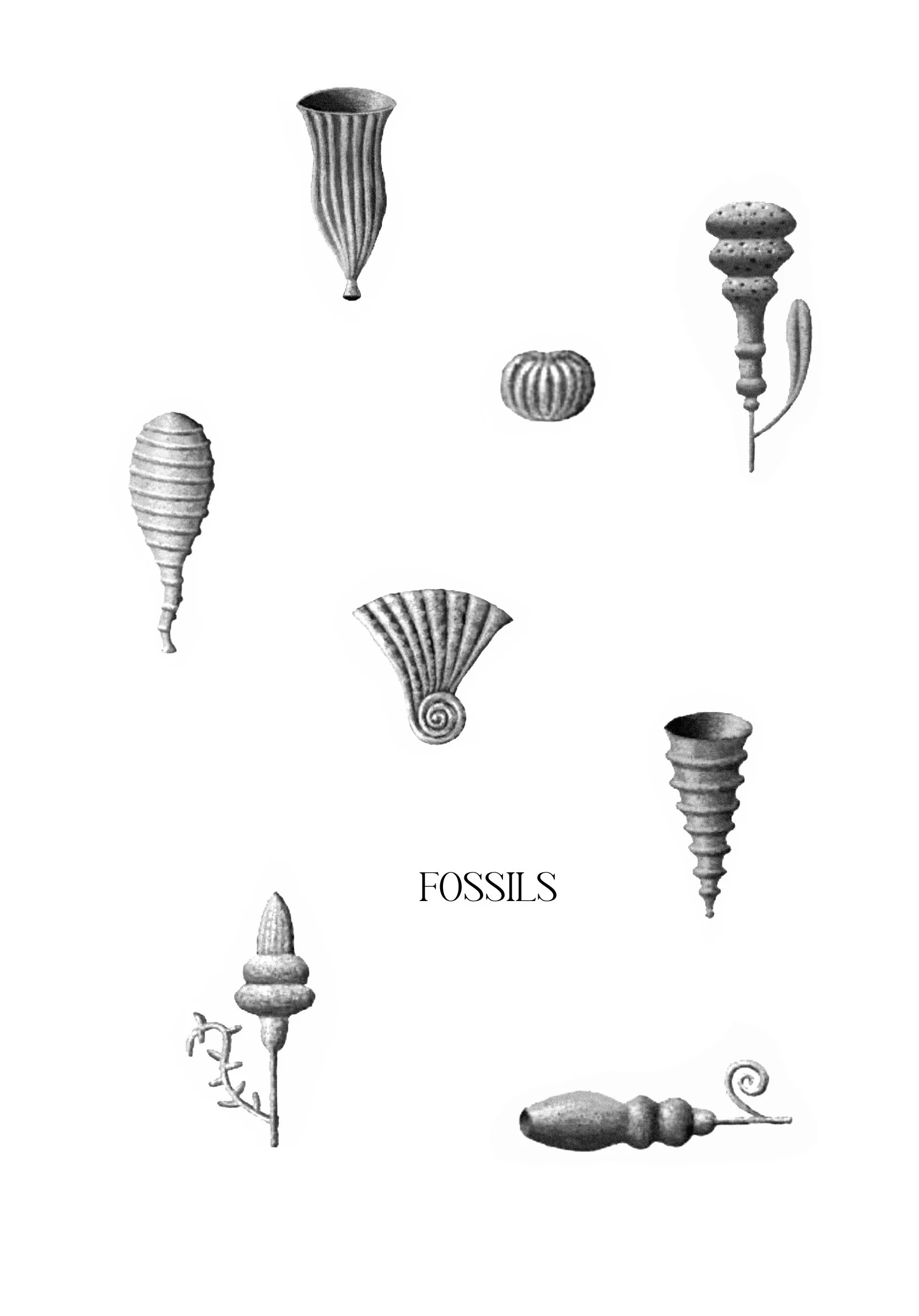 Untitled_Artwork 2134.jpg