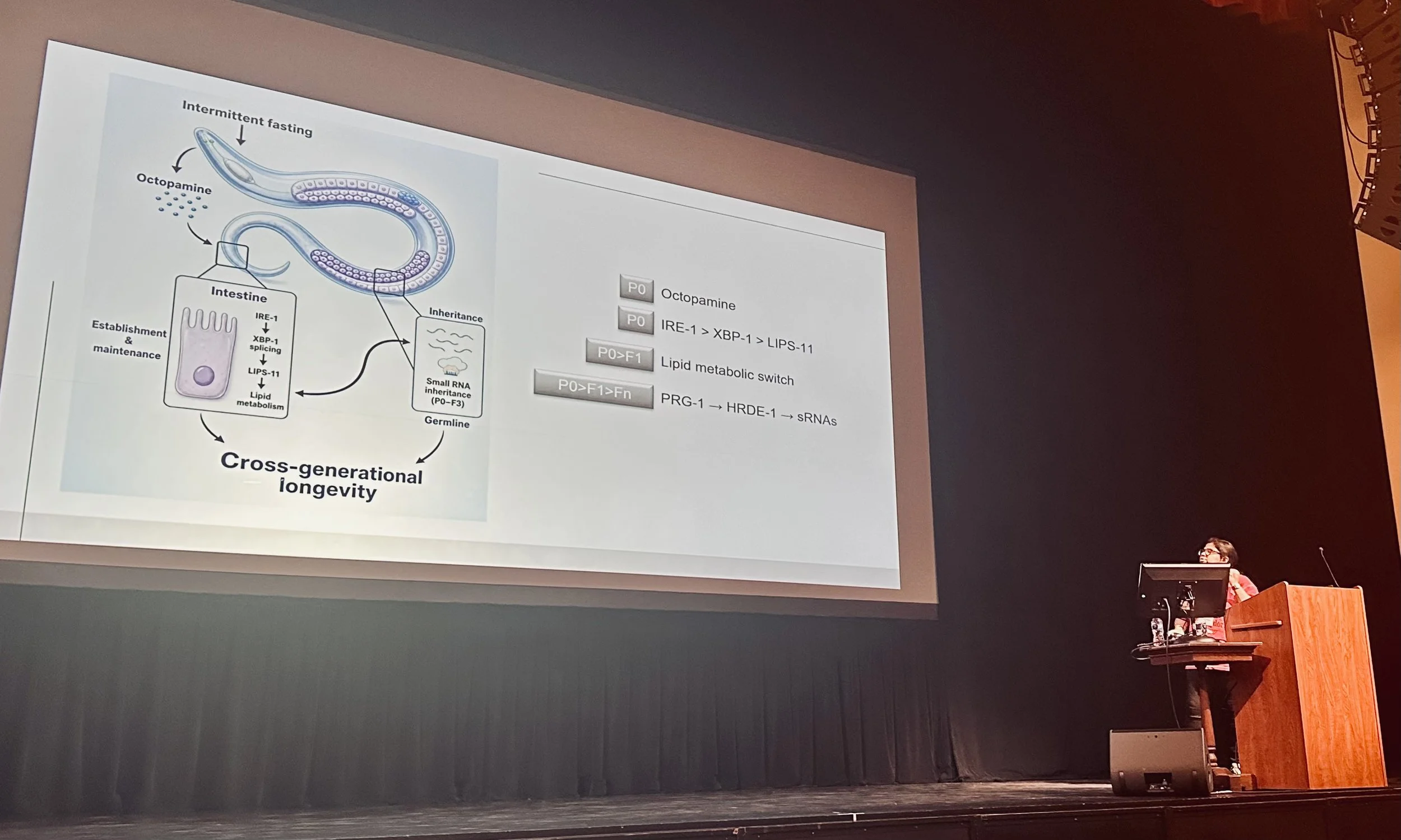 Purbasha gave a terrific talk at MAPSS-Madison! [June '26]