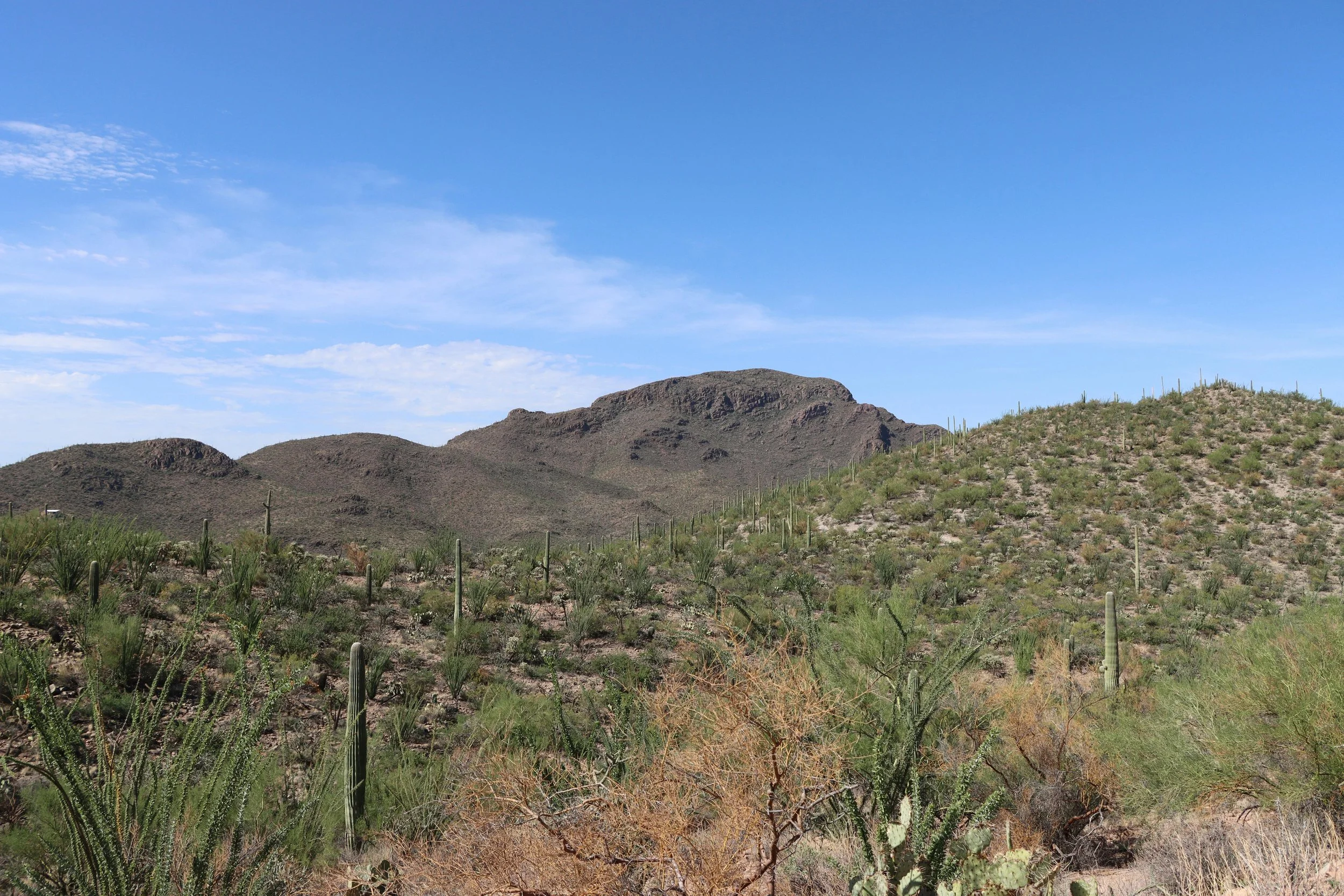 10 Underrated Money-Saving Tips for New Parents