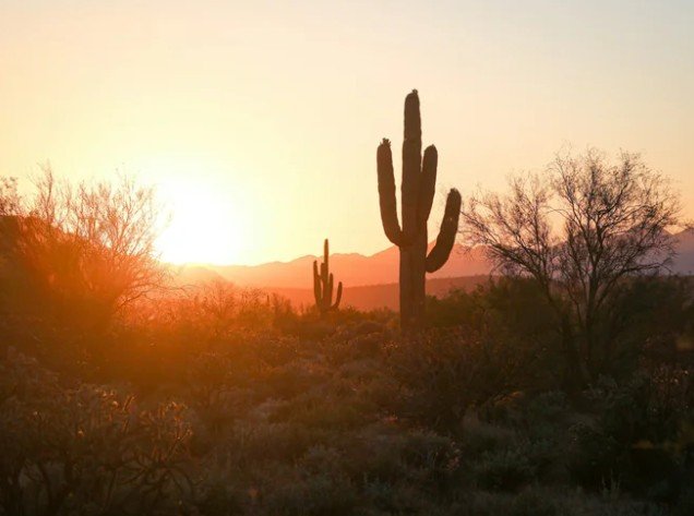 arizona-desert-phoenix-financial-planner