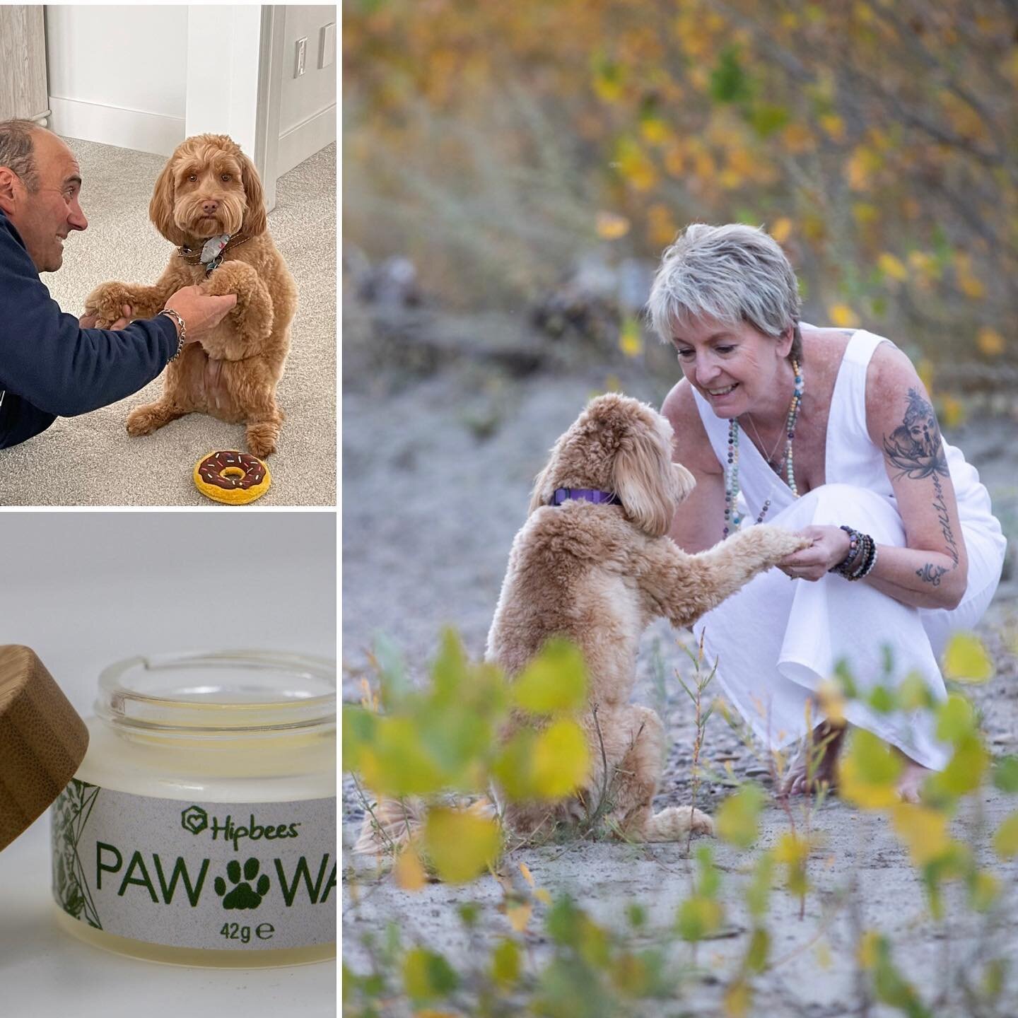 Self care comes in many ways. One of the greatest ways Mr. Cooper gets his self care on is from @hipbees this beautiful woman has created so many amazing products that I have been able to try. But Mr. Cooper&rsquo;s fave is Paw Wax  Keeps his little 